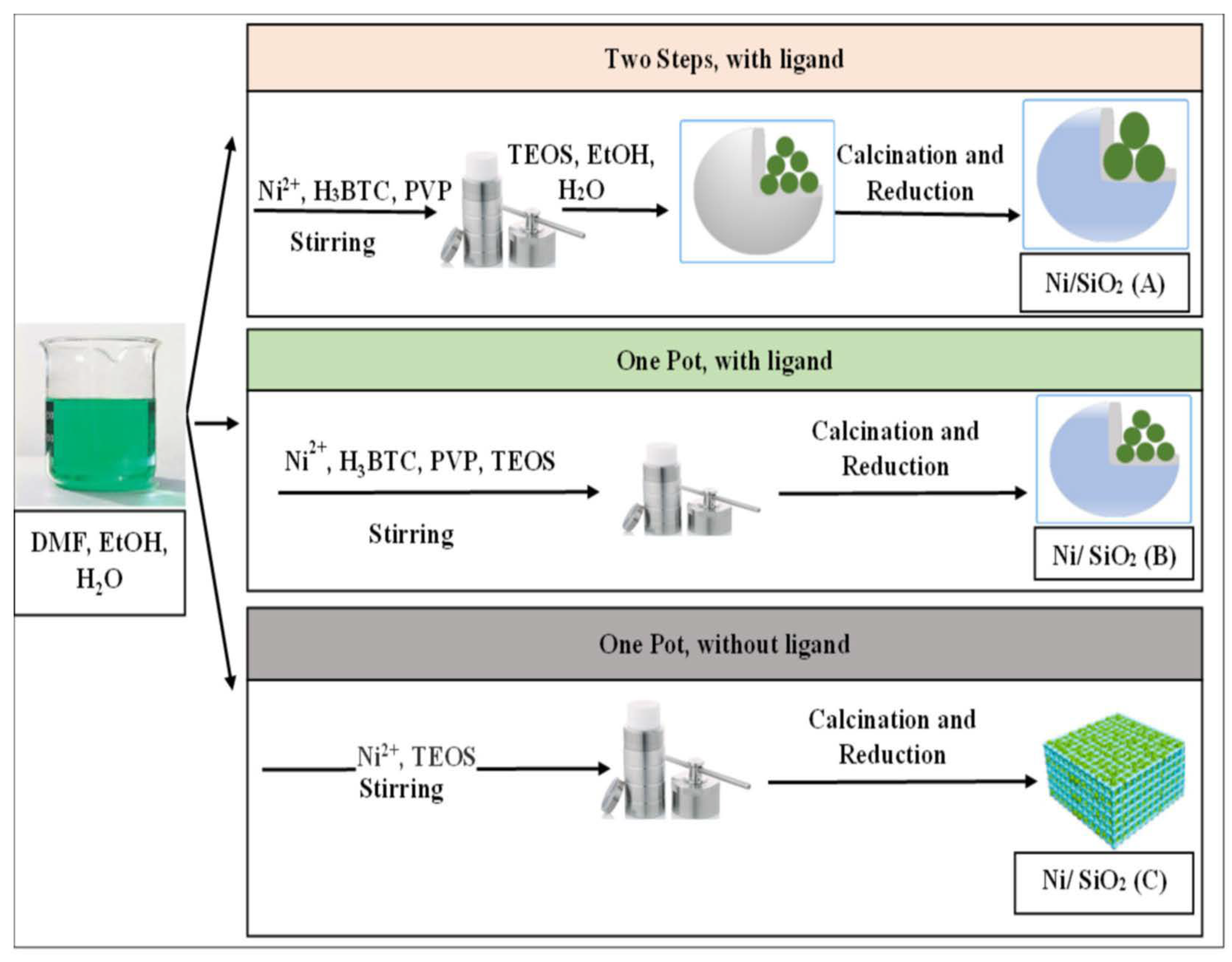 Catalysts 13 01104 g013