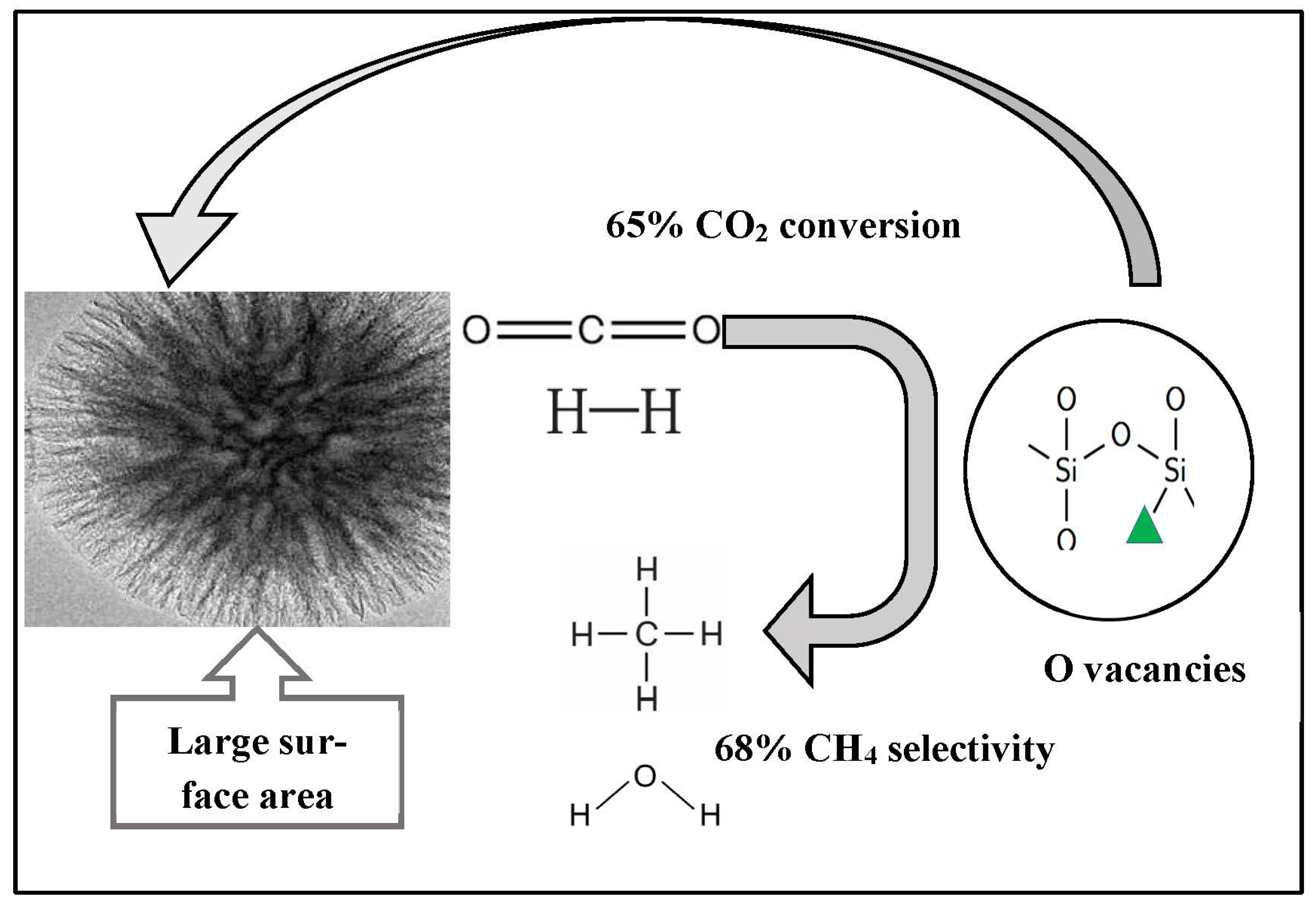 Catalysts 13 01104 g015