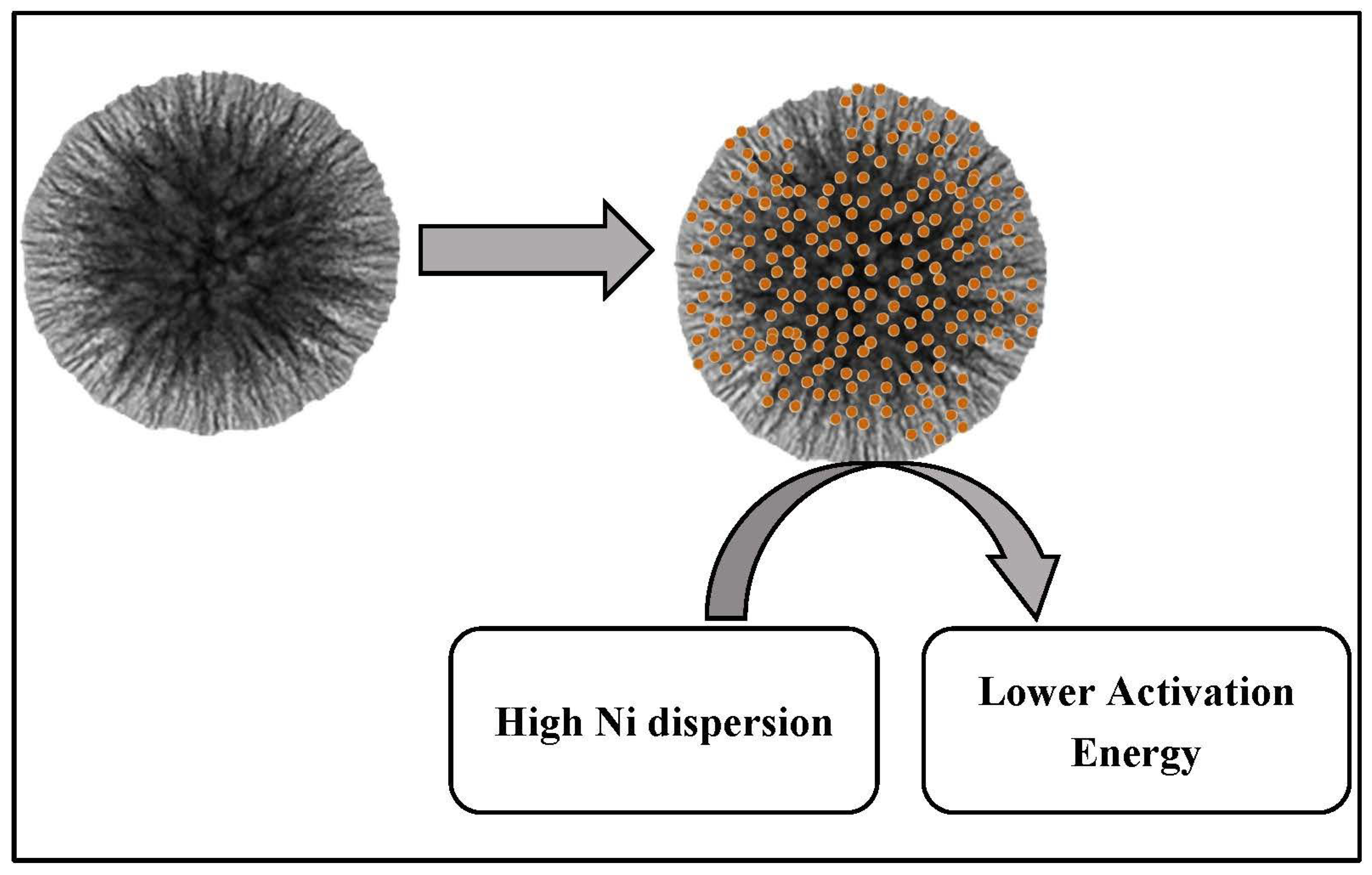 Catalysts 13 01104 g018