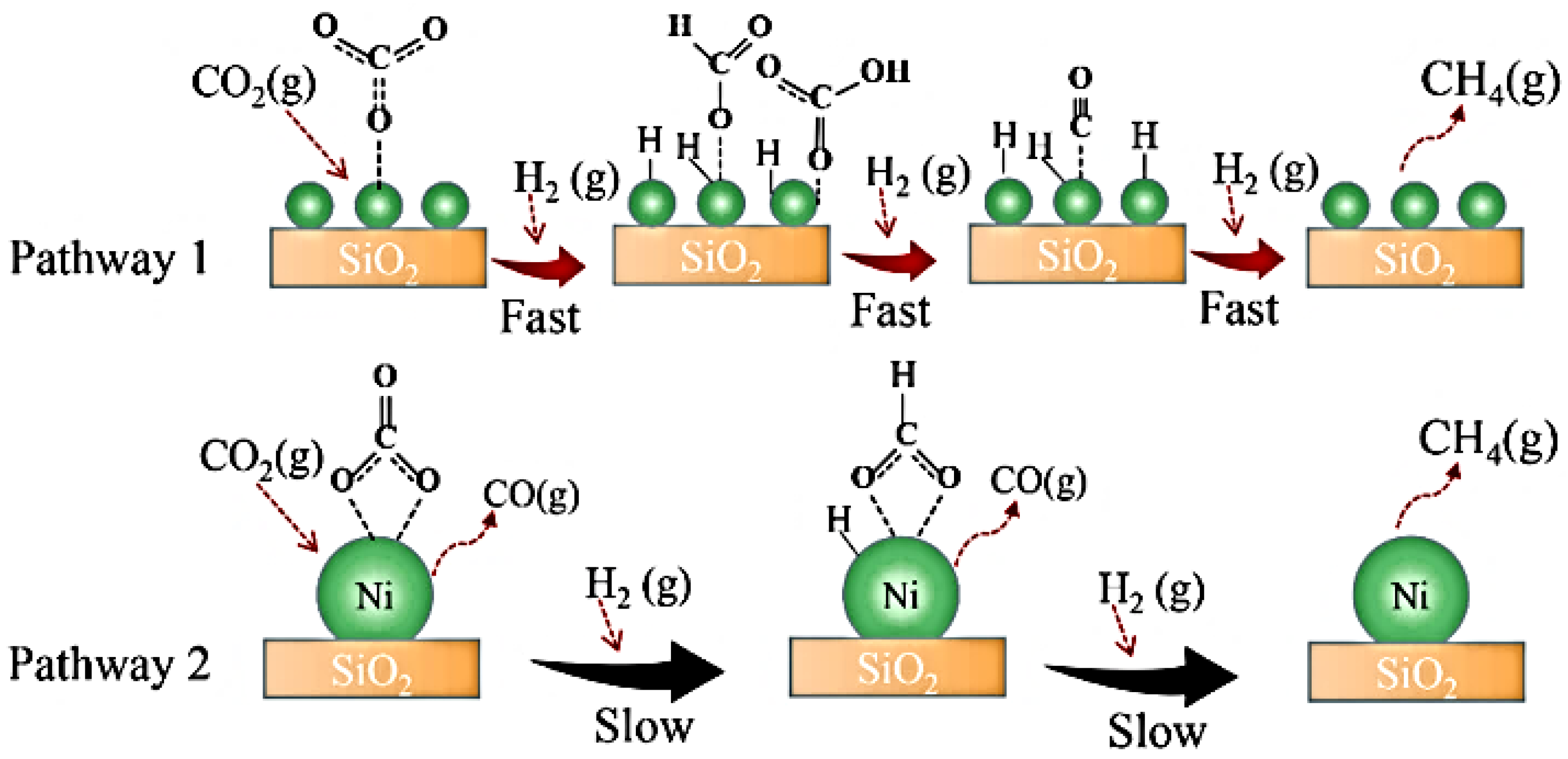 Catalysts 13 01104 g023