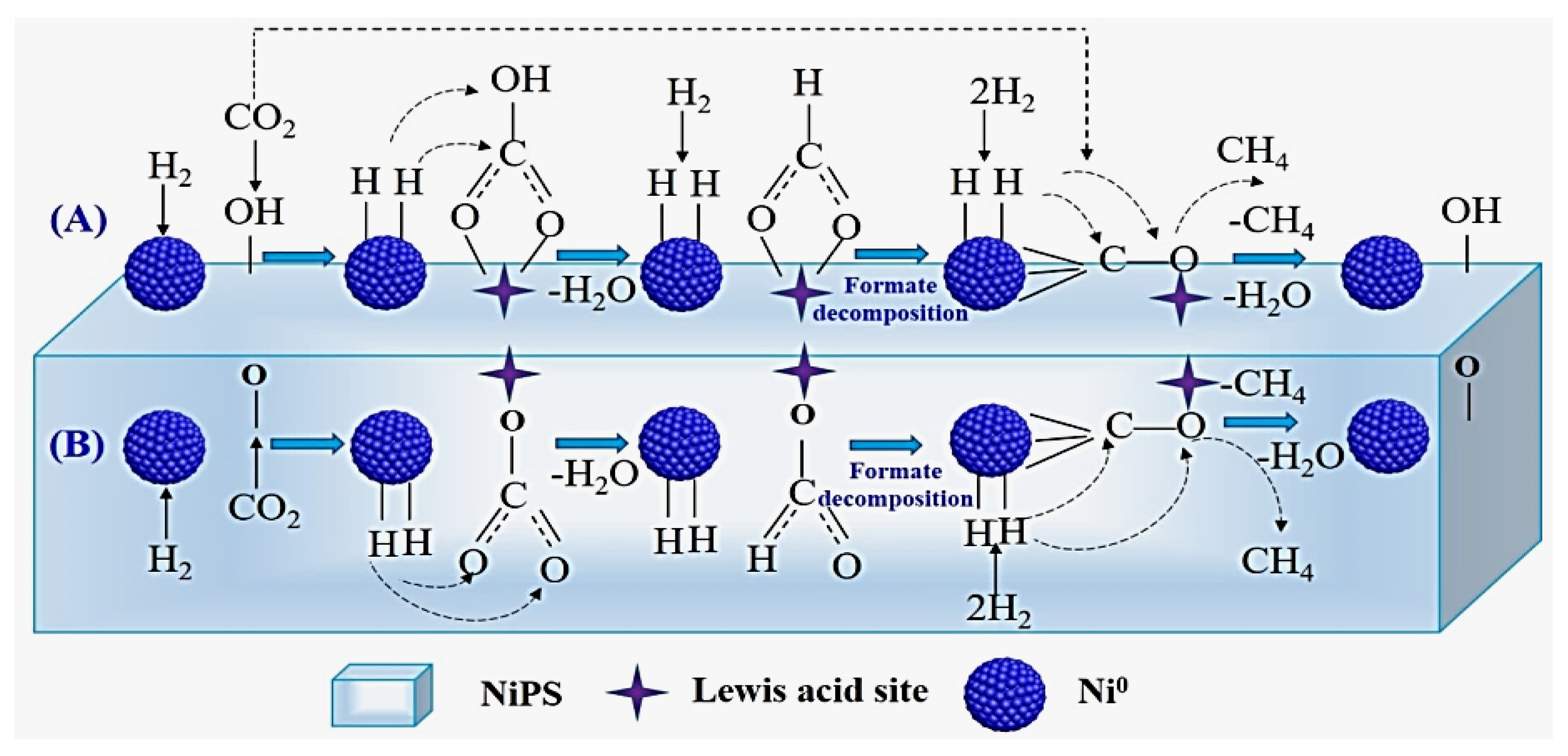 Catalysts 13 01104 g025