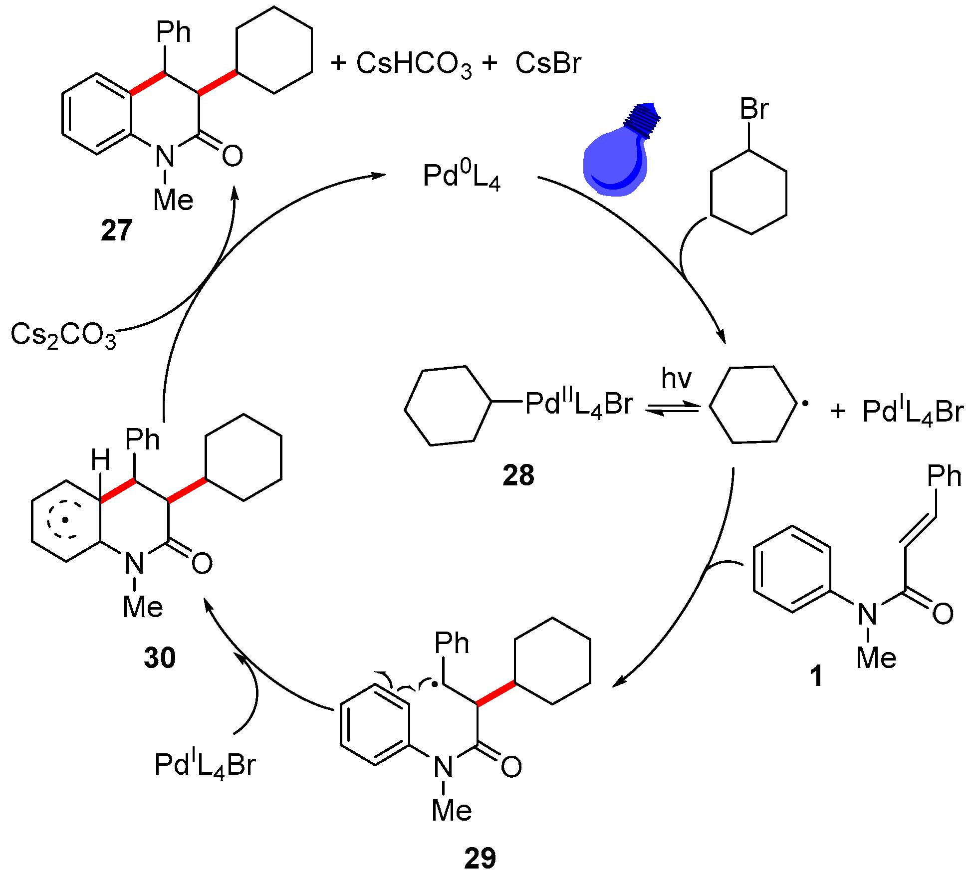 Catalysts 13 01105 g010