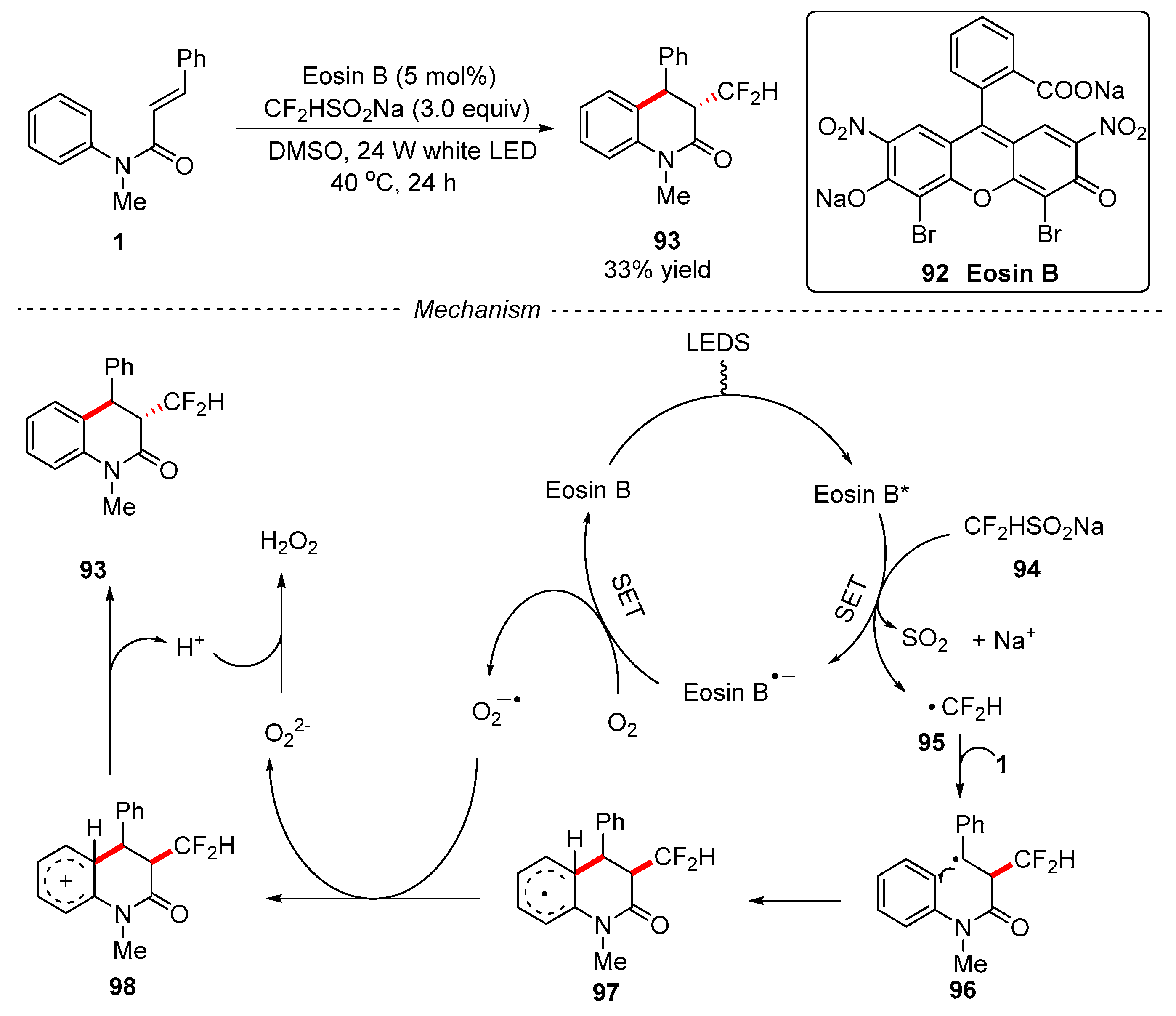 Catalysts 13 01105 g024
