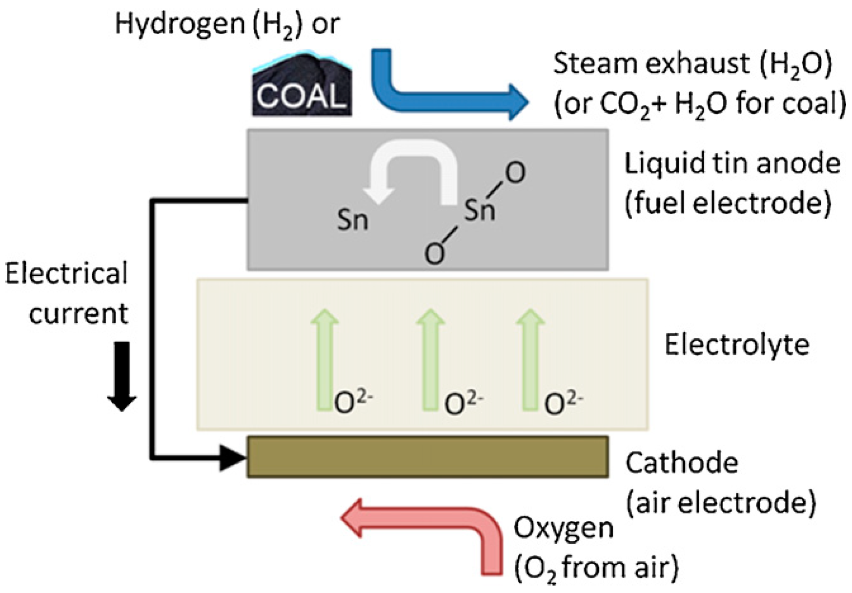 Catalysts 13 01107 g002 Catalysts 13 01107 g002