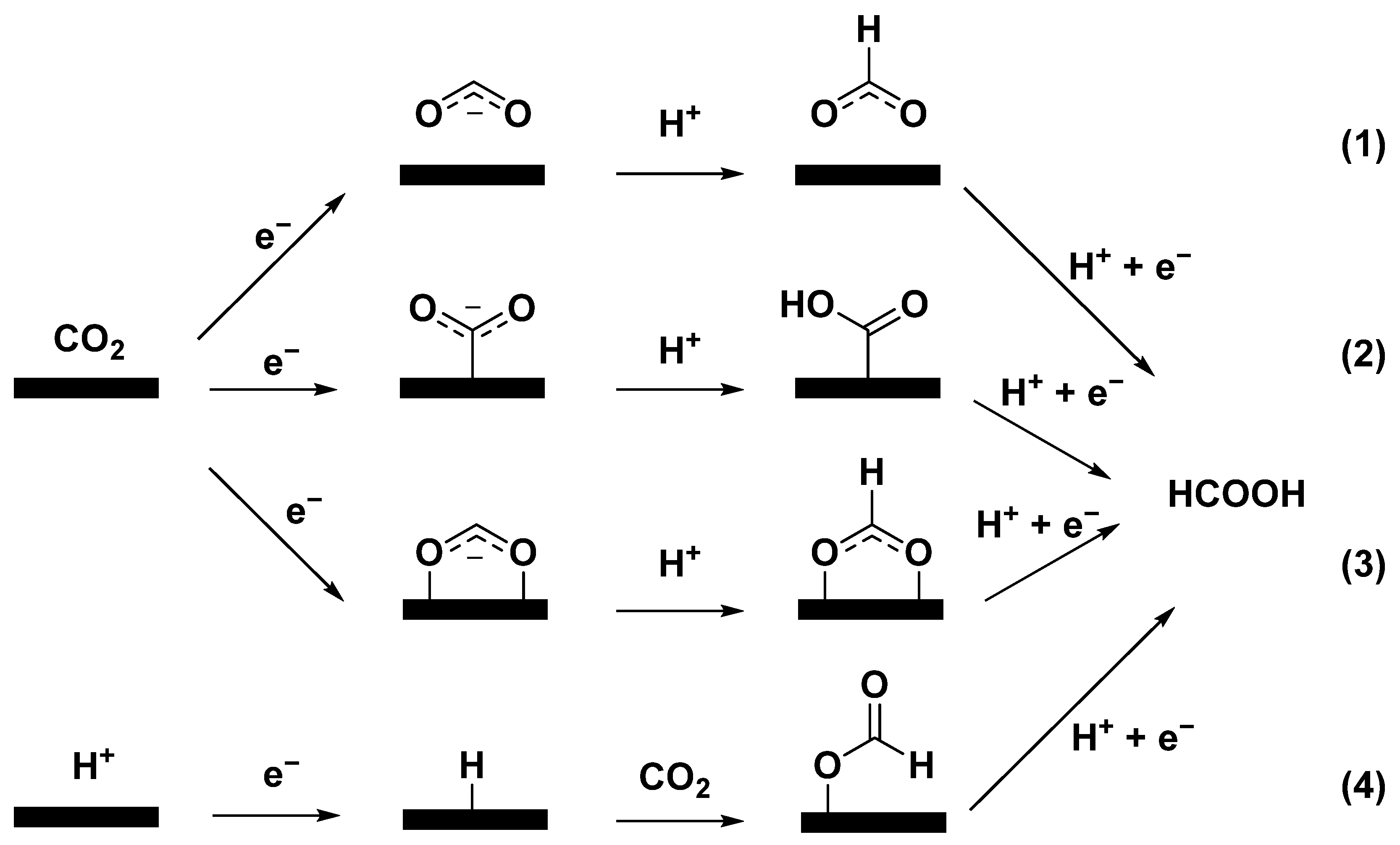 Catalysts 13 01109 g001 Catalysts 13 01109 g001