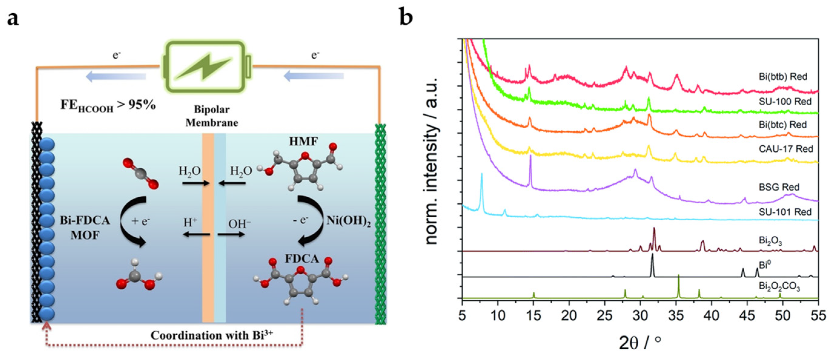 Catalysts 13 01109 g006 Catalysts 13 01109 g006