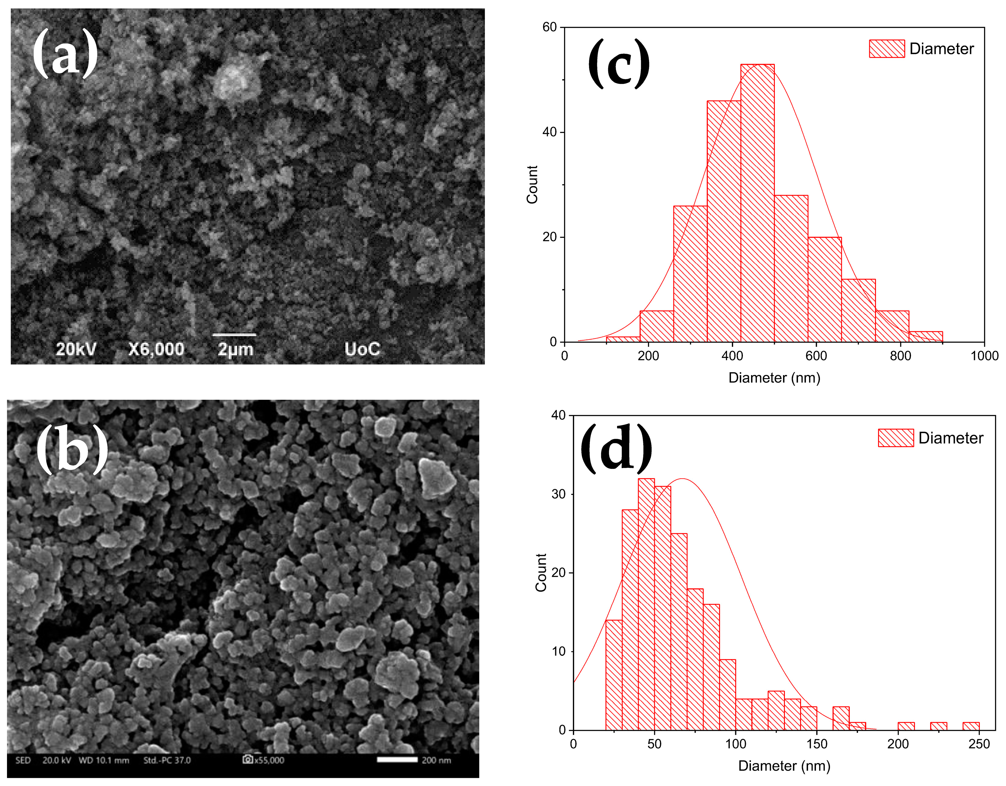 Catalysts 13 01110 g003