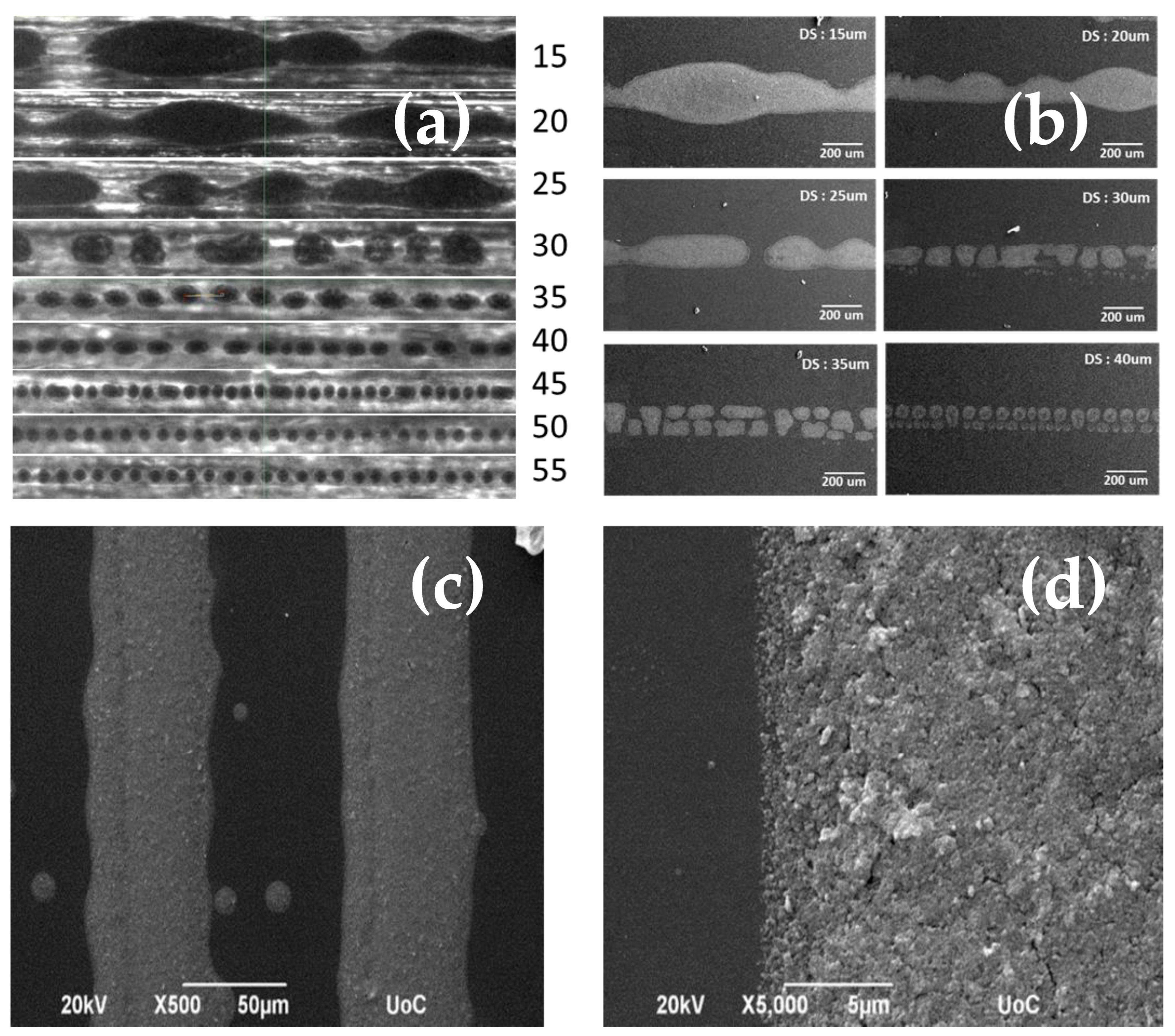 Catalysts 13 01110 g010