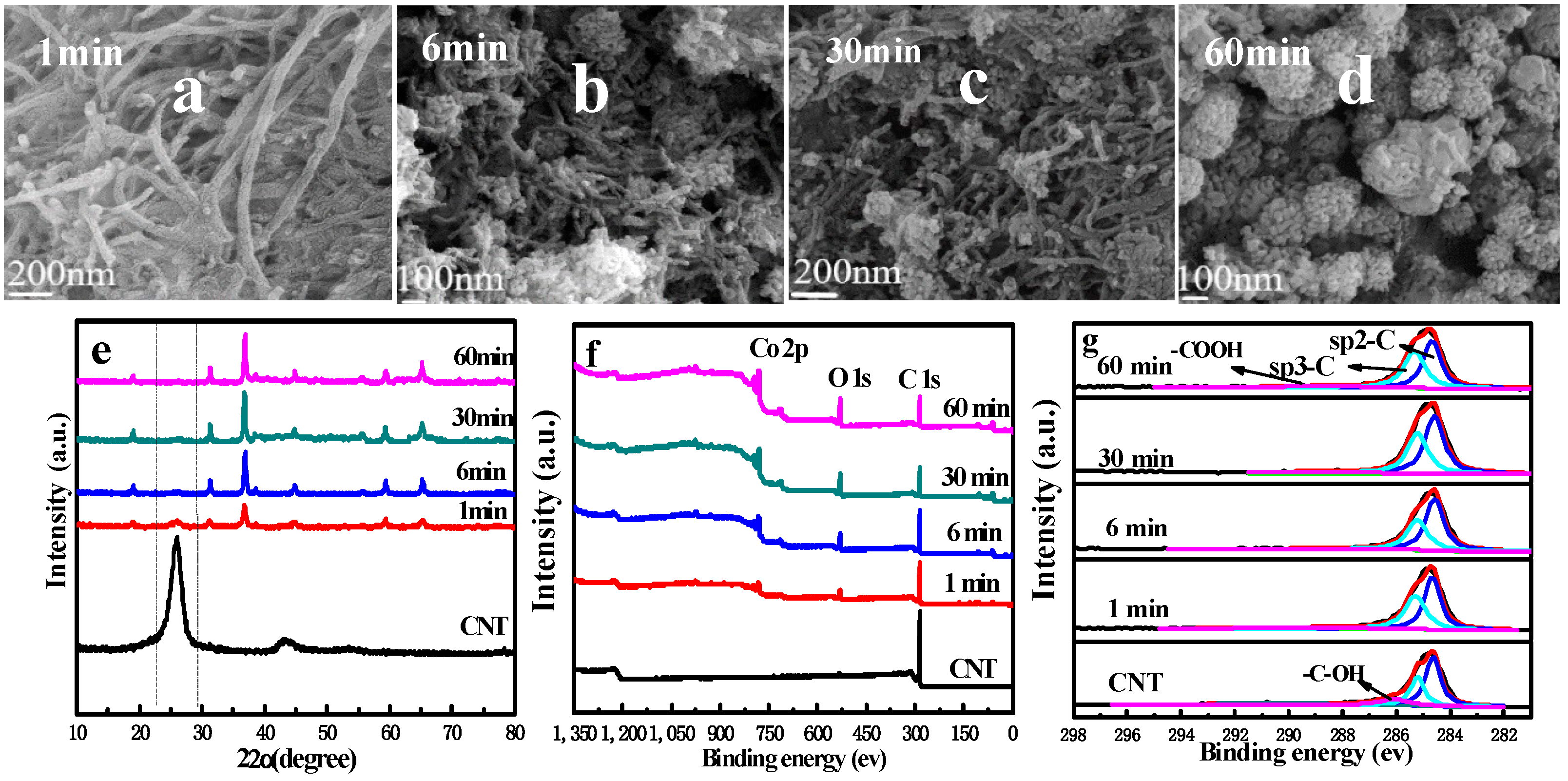 Catalysts 13 01112 g003 Catalysts 13 01112 g003