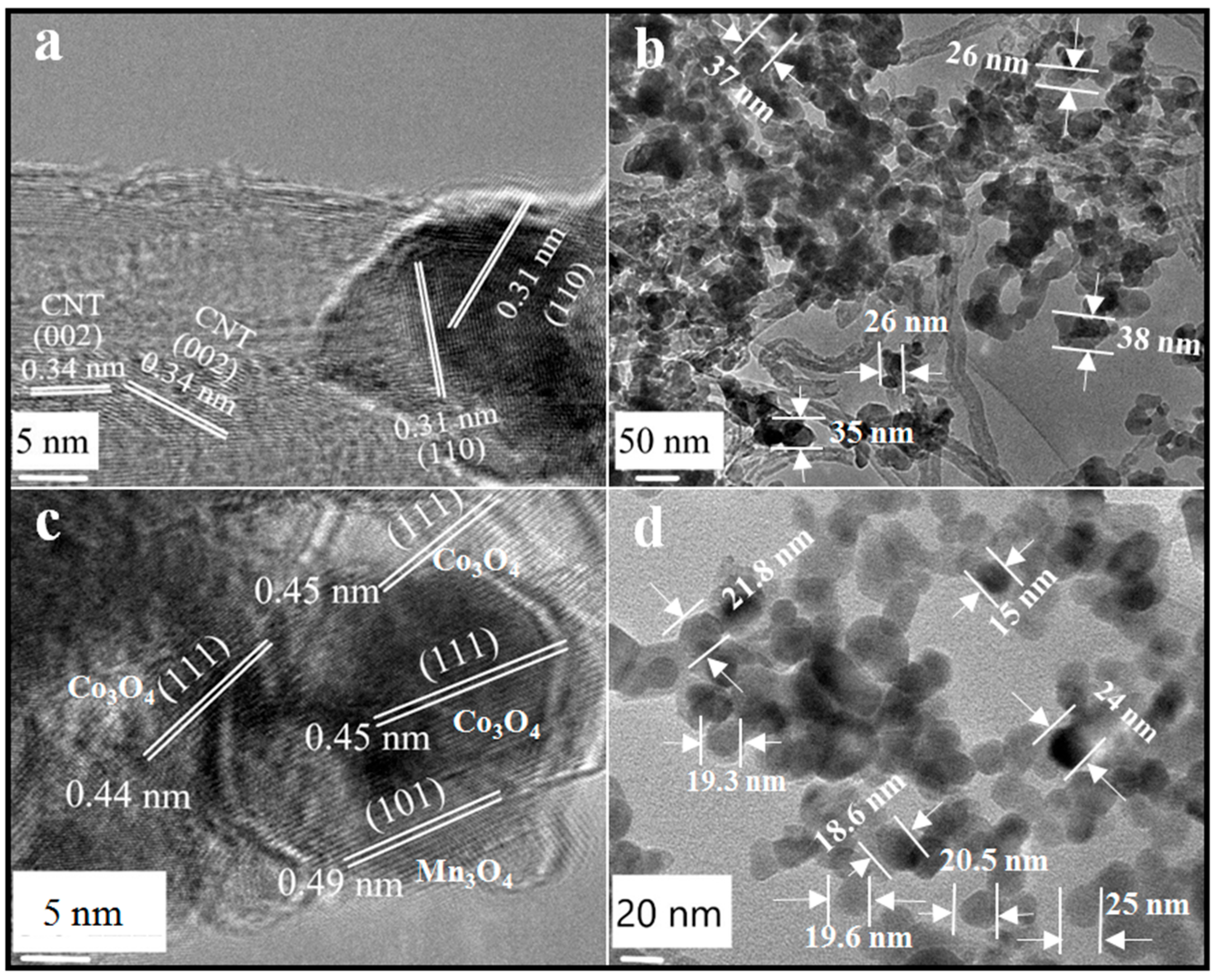 Catalysts 13 01112 g004 Catalysts 13 01112 g004