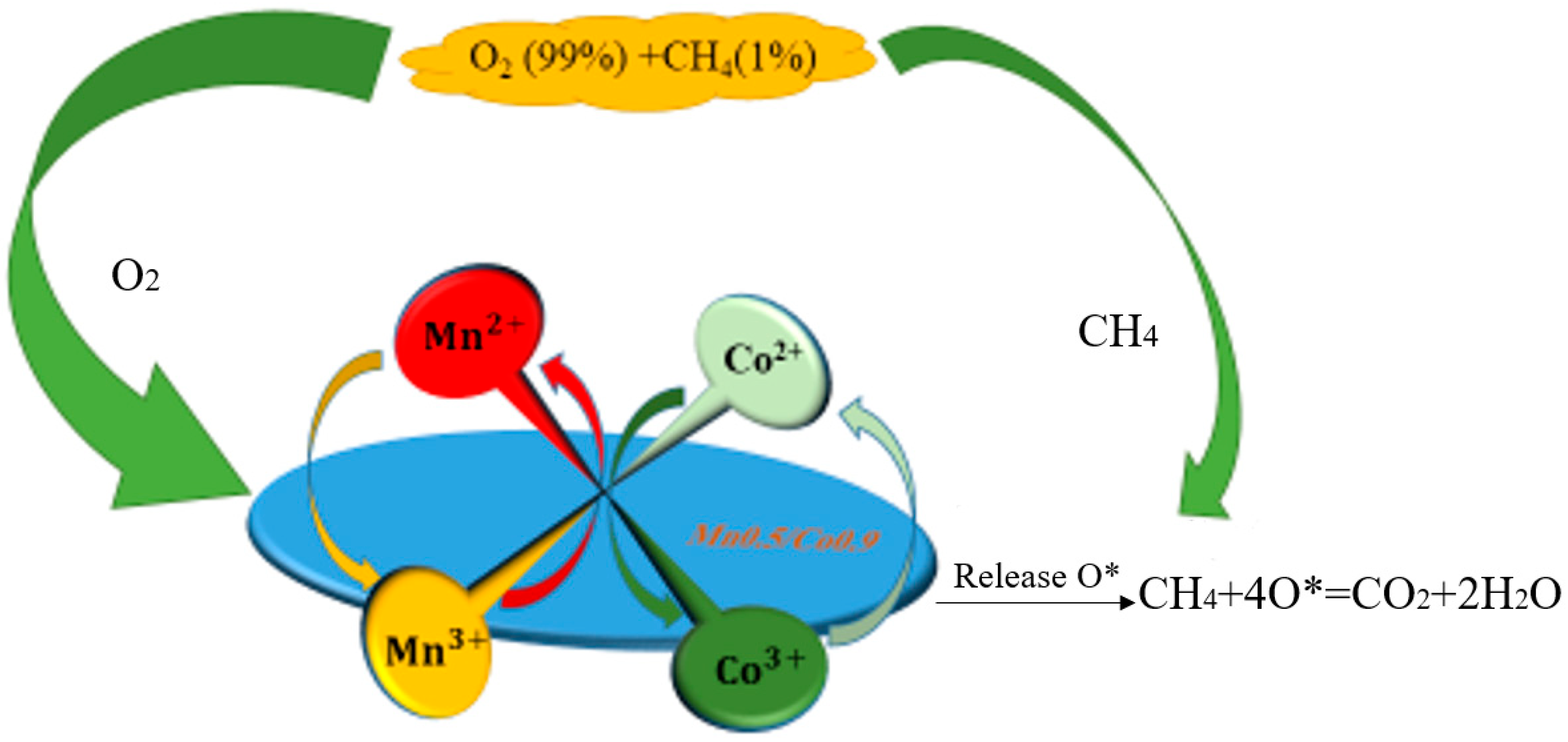 Catalysts 13 01112 g010 Catalysts 13 01112 g010