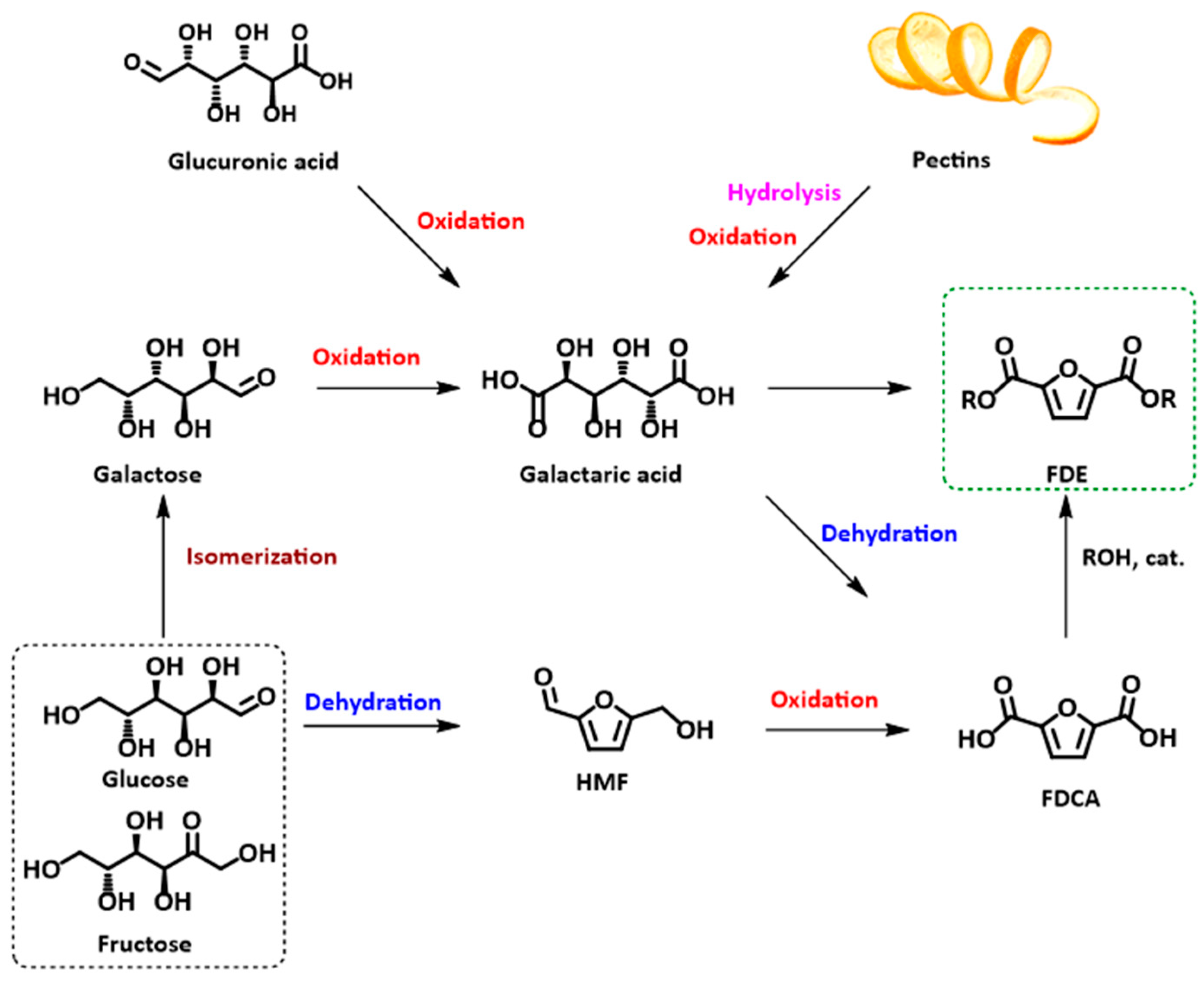 Catalysts 13 01114 g001 Catalysts 13 01114 g001