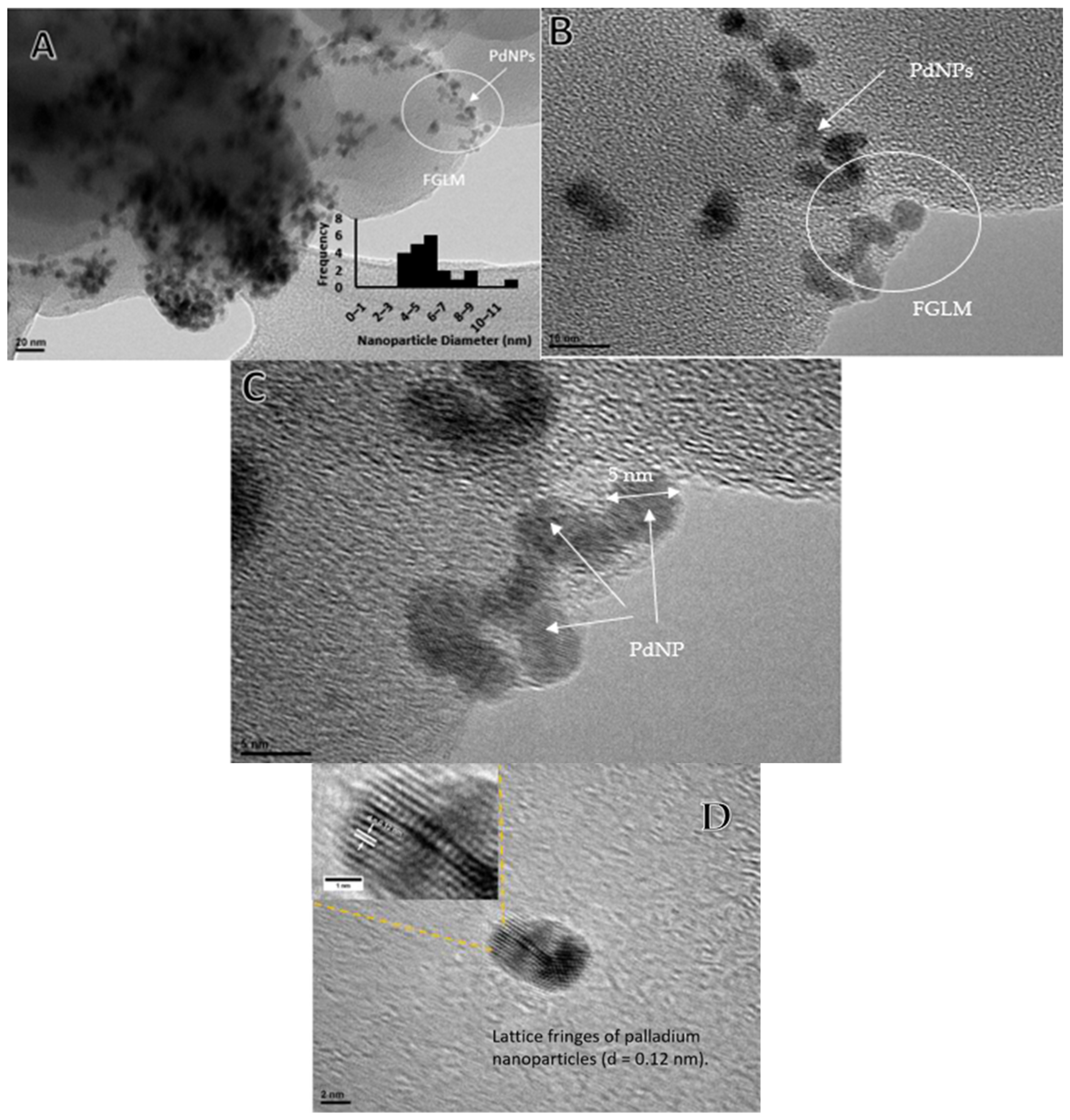 Catalysts 13 01117 g001
