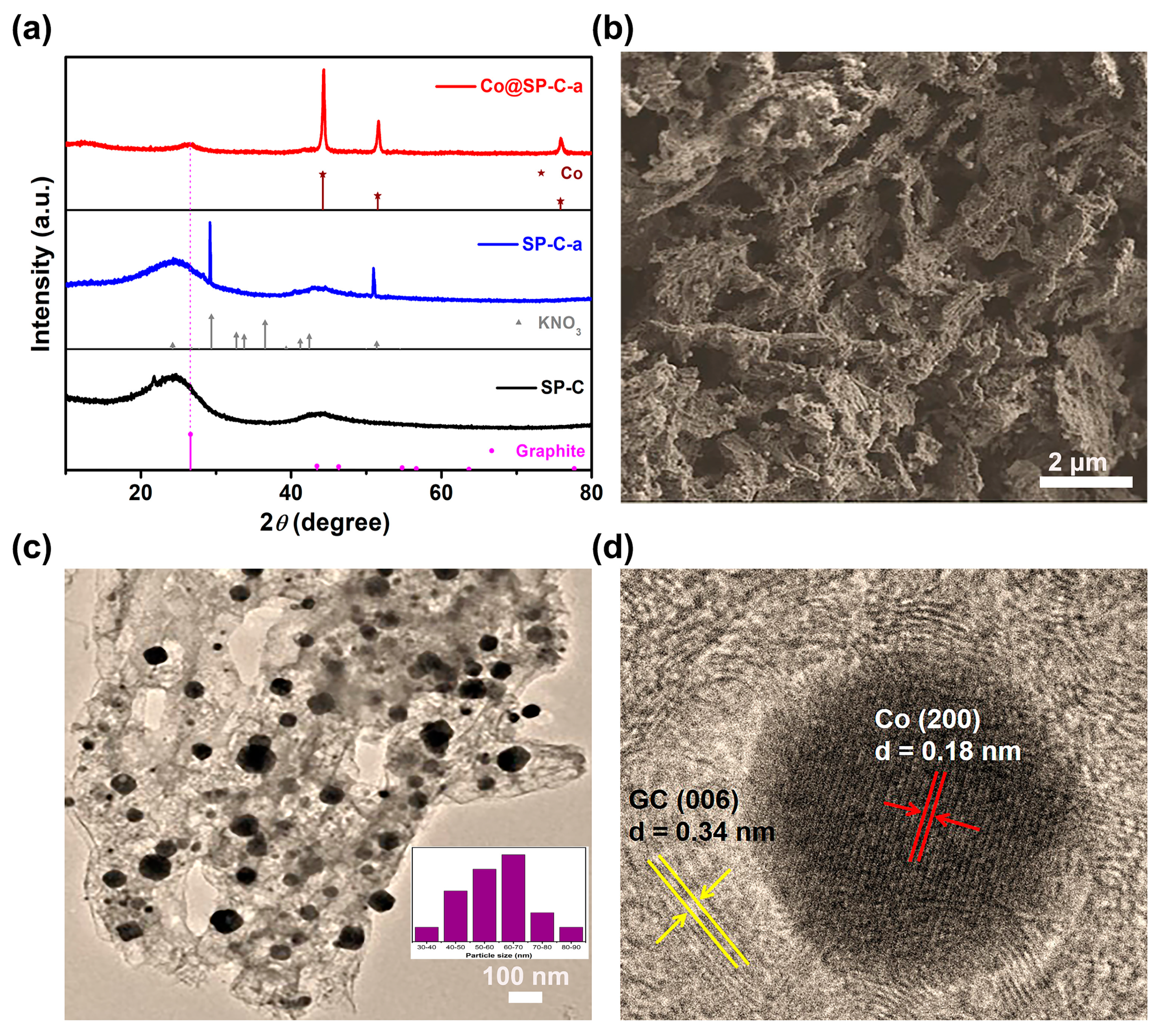 Mitigating Co Metal Particle Agglomeration and Enhancing ORR
