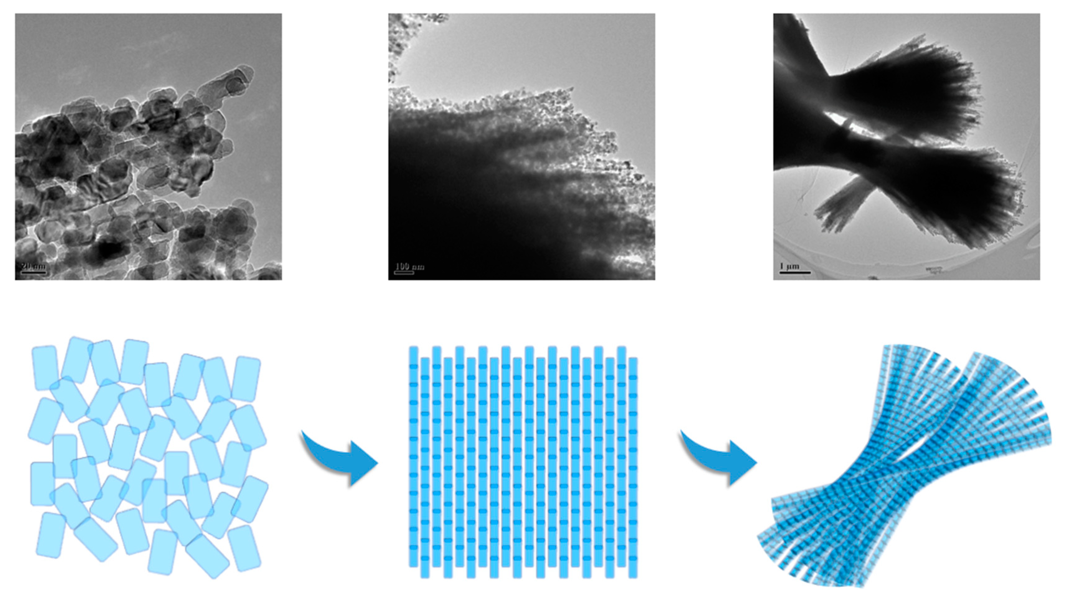 Catalysts 13 01119 g006