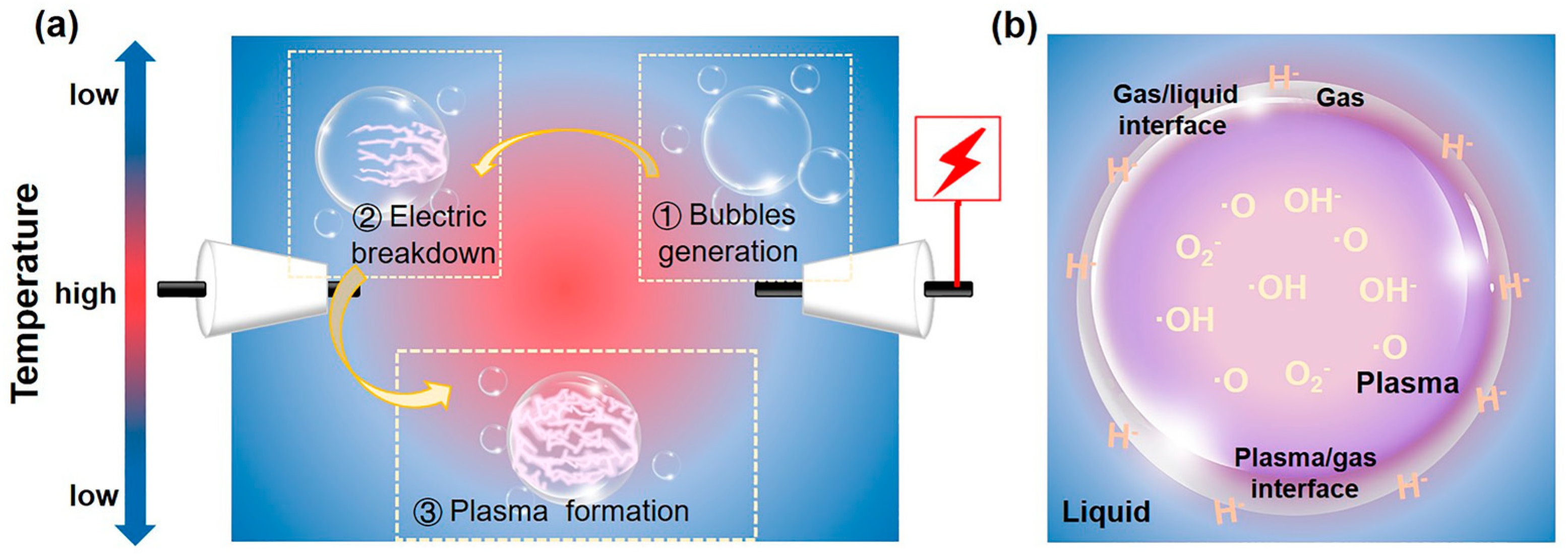 Catalysts 13 01124 g002 Catalysts 13 01124 g002