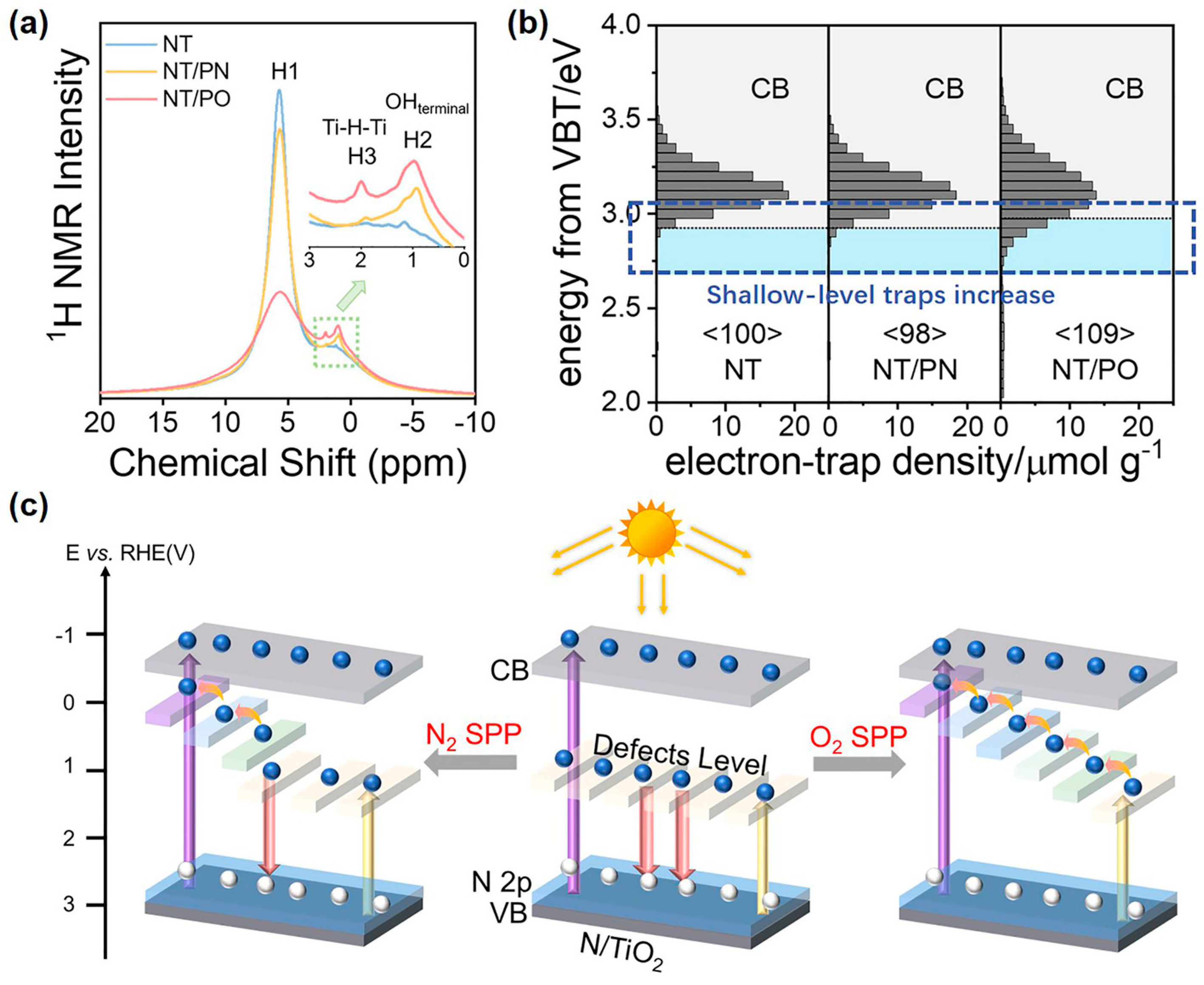 Catalysts 13 01124 g005 Catalysts 13 01124 g005