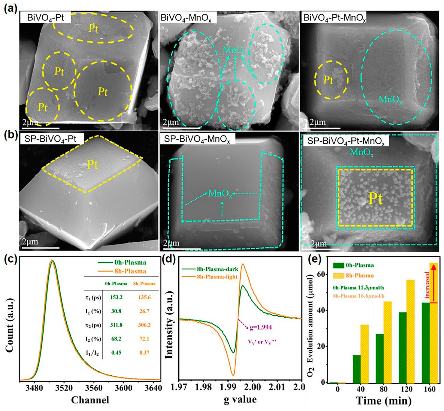 Catalysts 13 01124 g006 Catalysts 13 01124 g006
