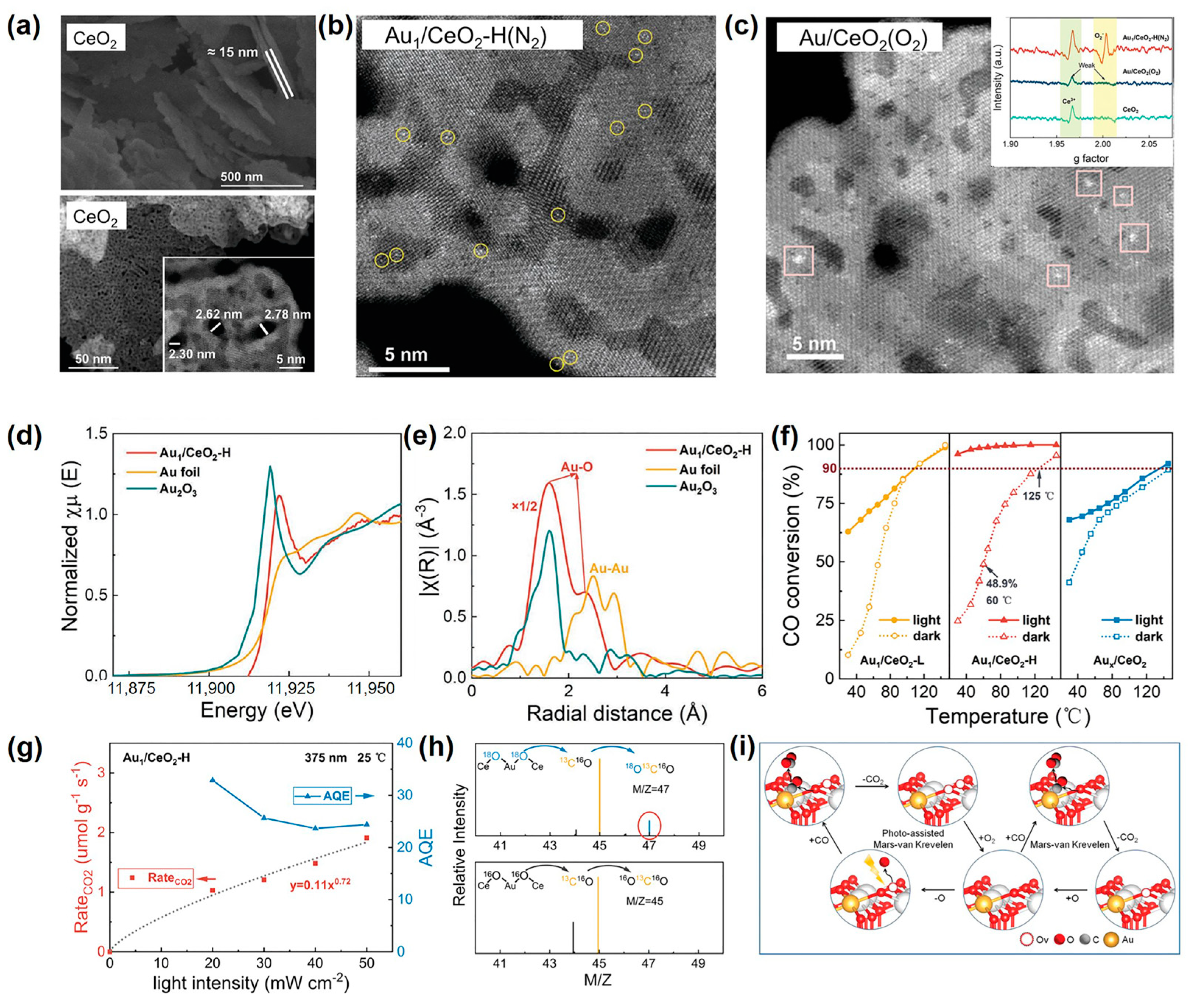 Catalysts 13 01124 g008 Catalysts 13 01124 g008