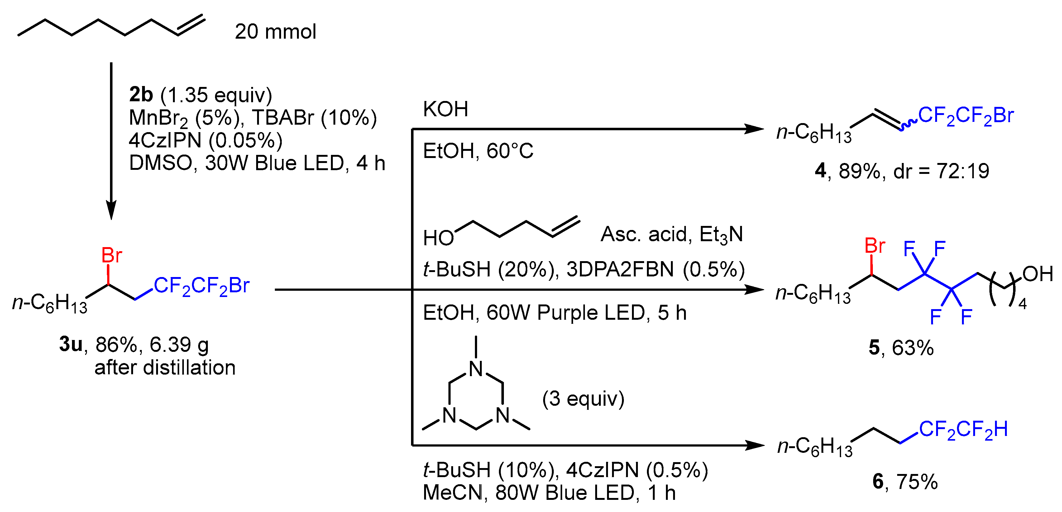Catalysts 13 01126 sch003 Catalysts 13 01126 sch003