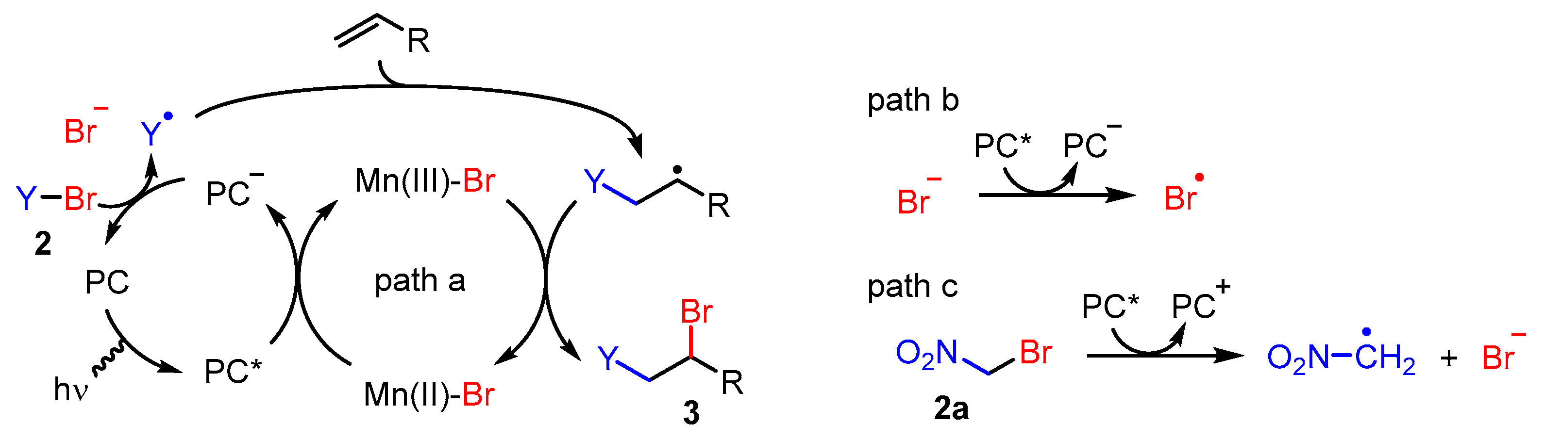 Catalysts 13 01126 sch004 Catalysts 13 01126 sch004