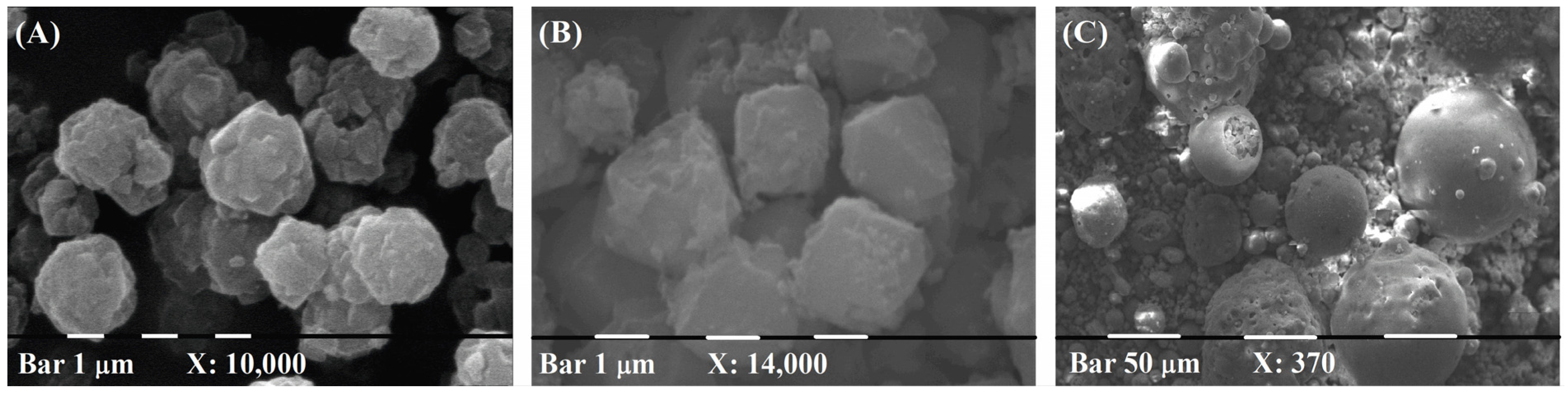 Catalysts 13 01128 g002