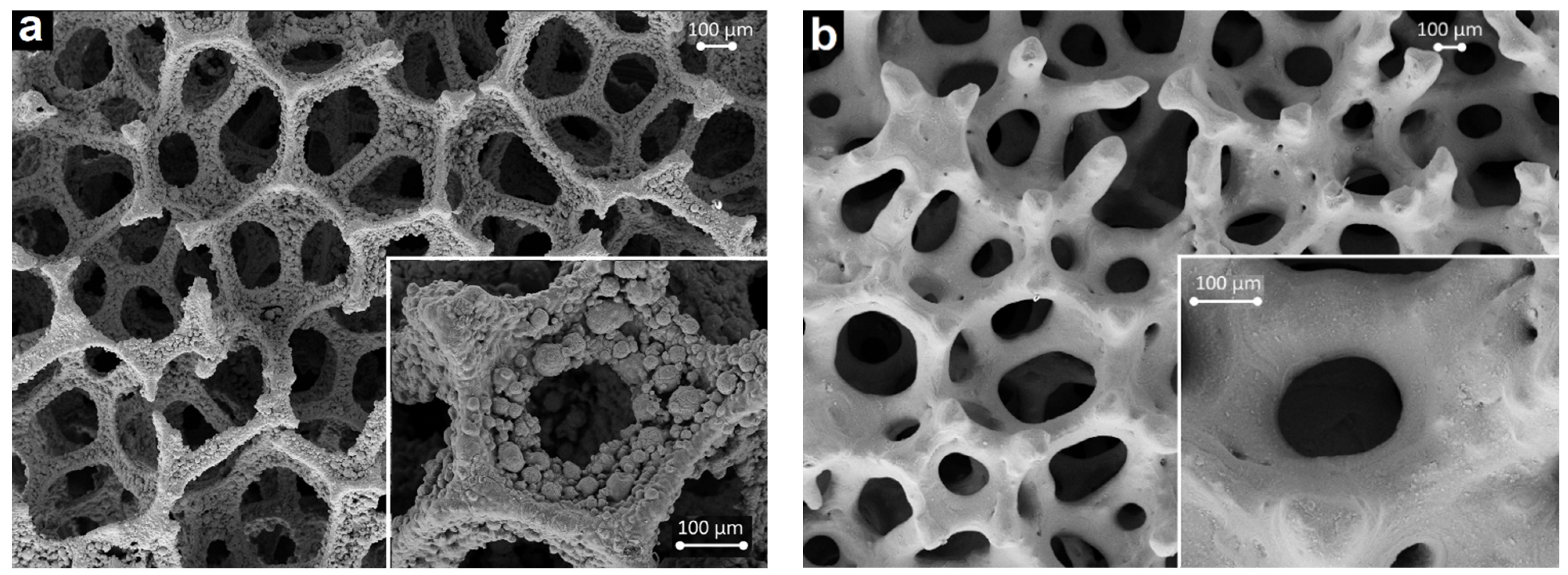 Catalysts 13 01129 g003