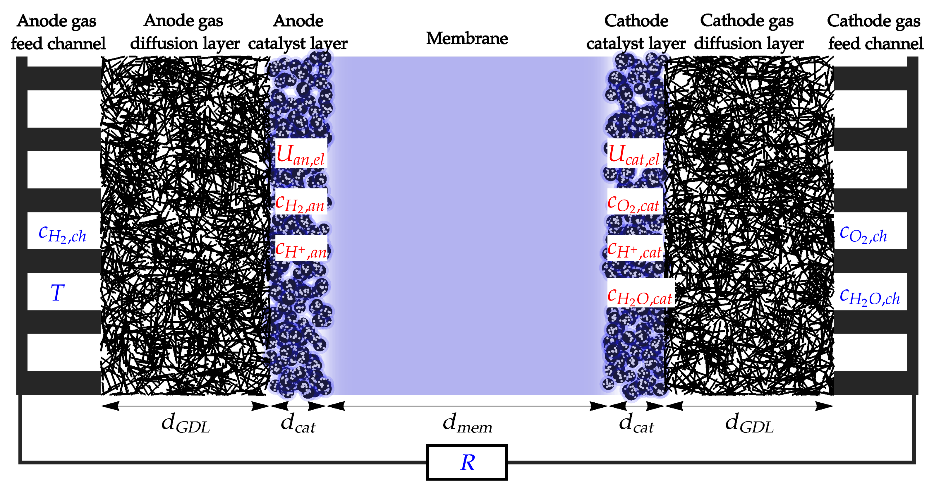 Catalysts 13 01131 g001