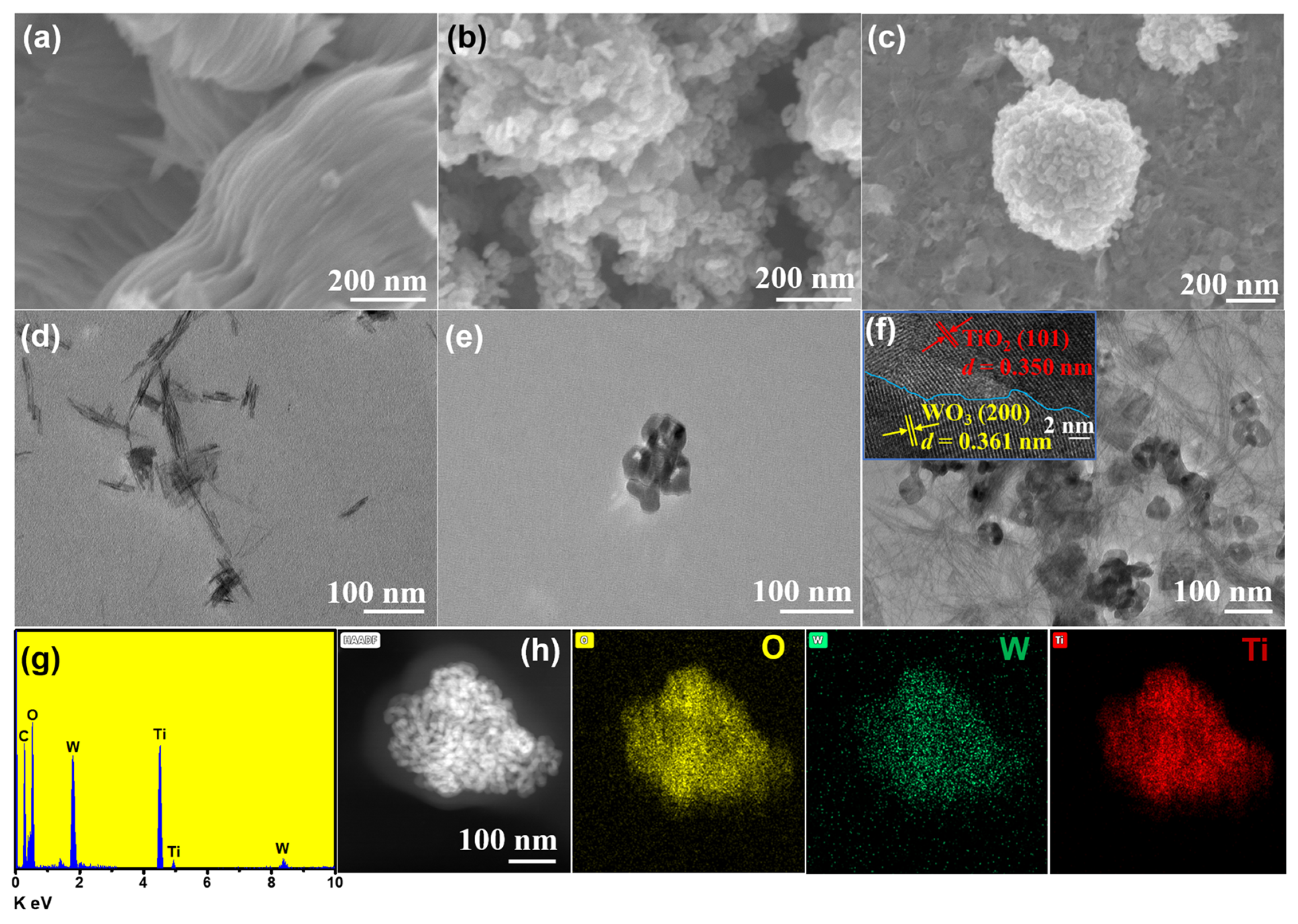 Catalysts 13 01136 g002