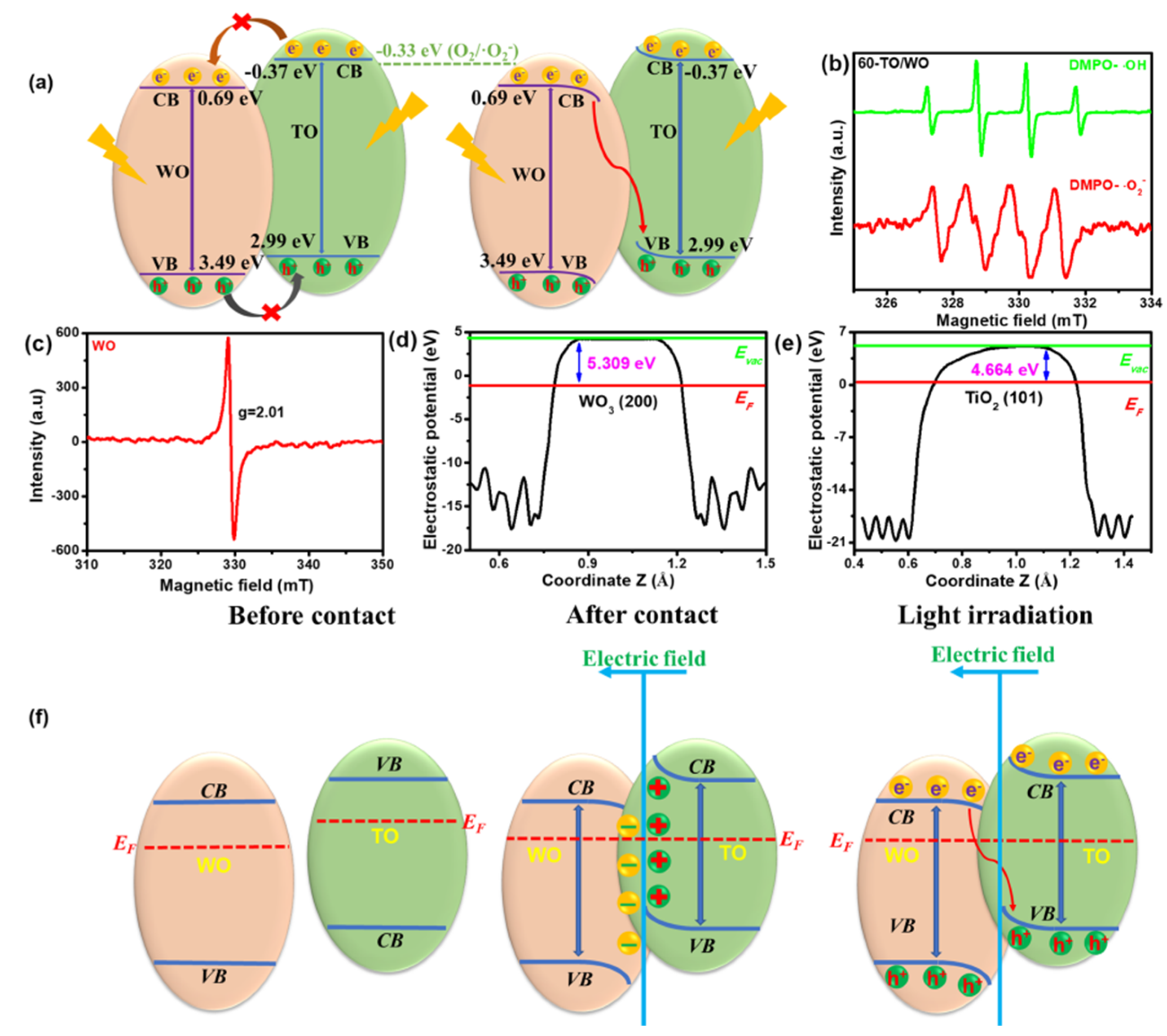 Catalysts 13 01136 g008