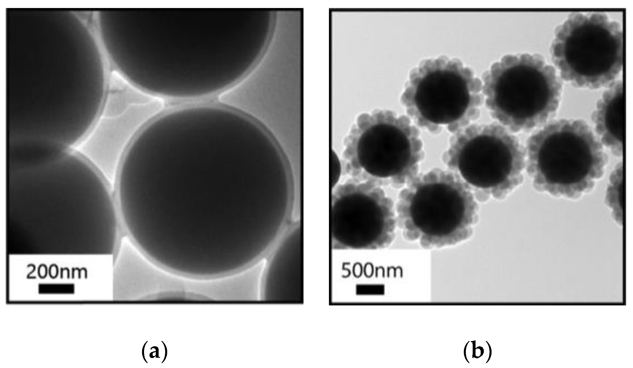 Catalysts 13 01137 g002
