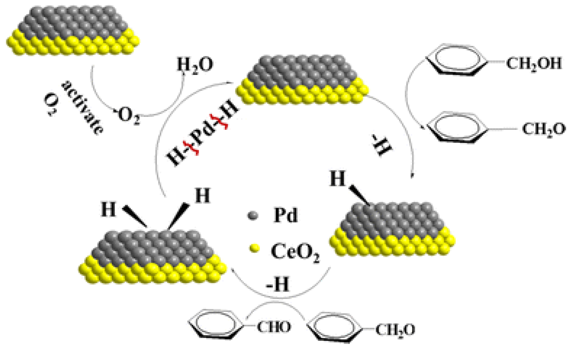 Catalysts 13 01137 g006
