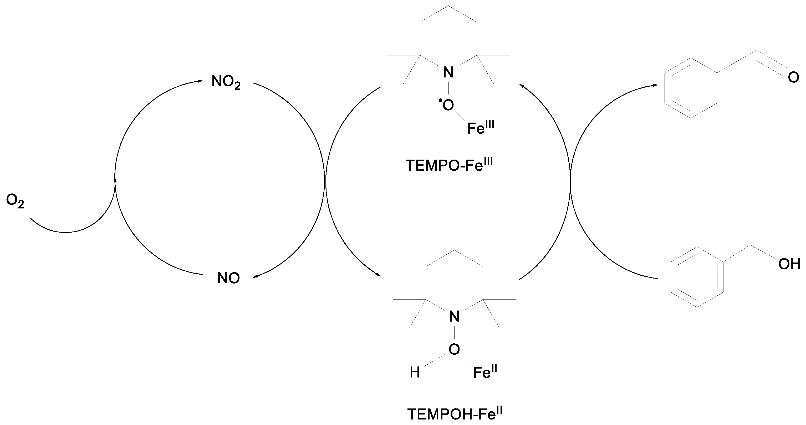 Catalysts 13 01137 g007