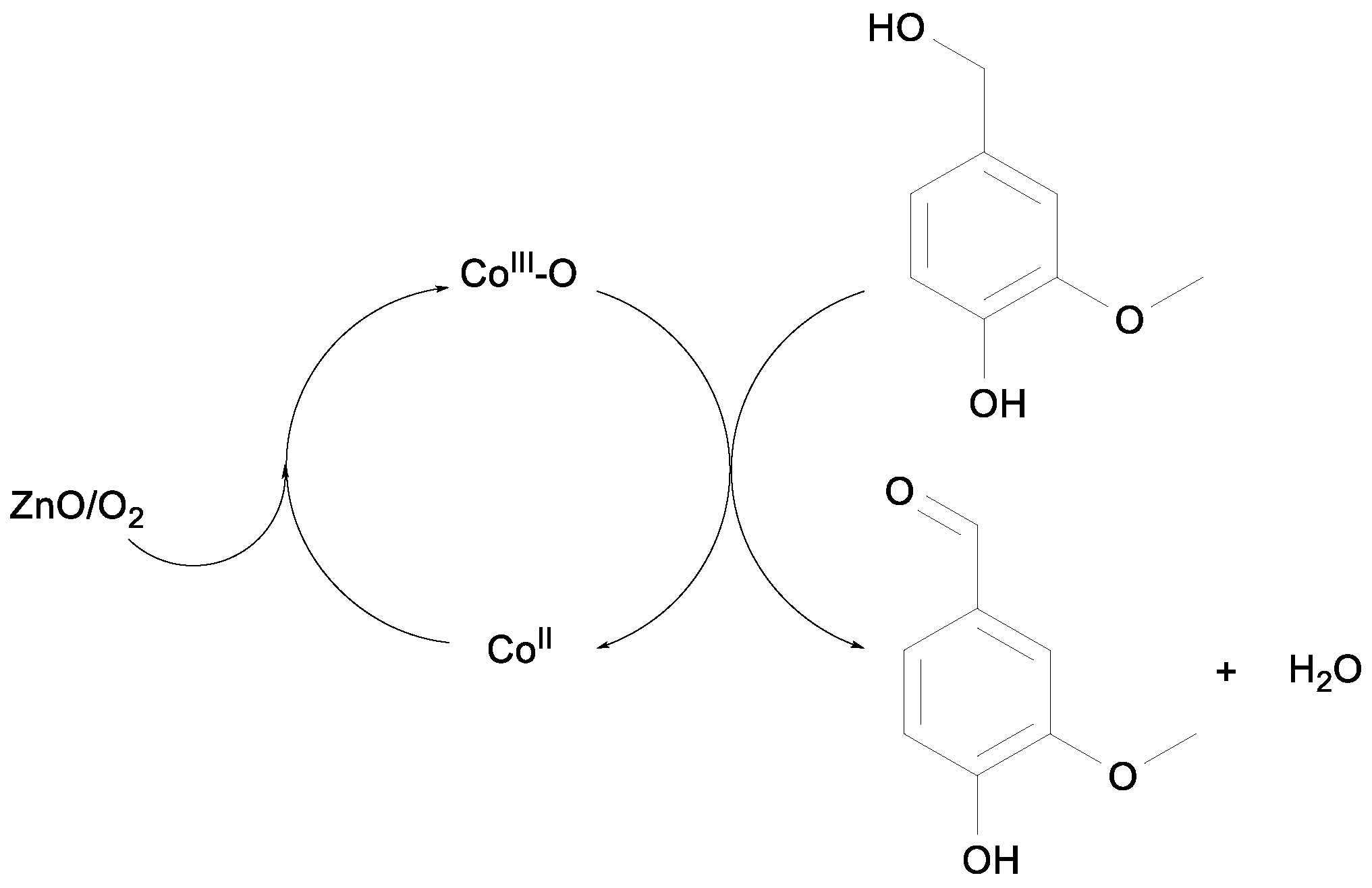 Catalysts 13 01137 g008