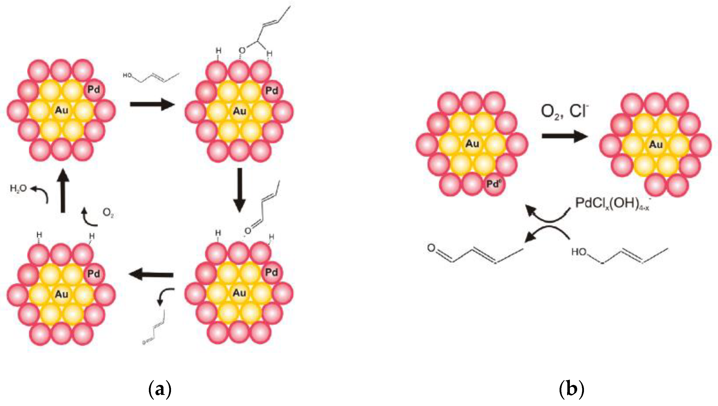 Catalysts 13 01137 g010