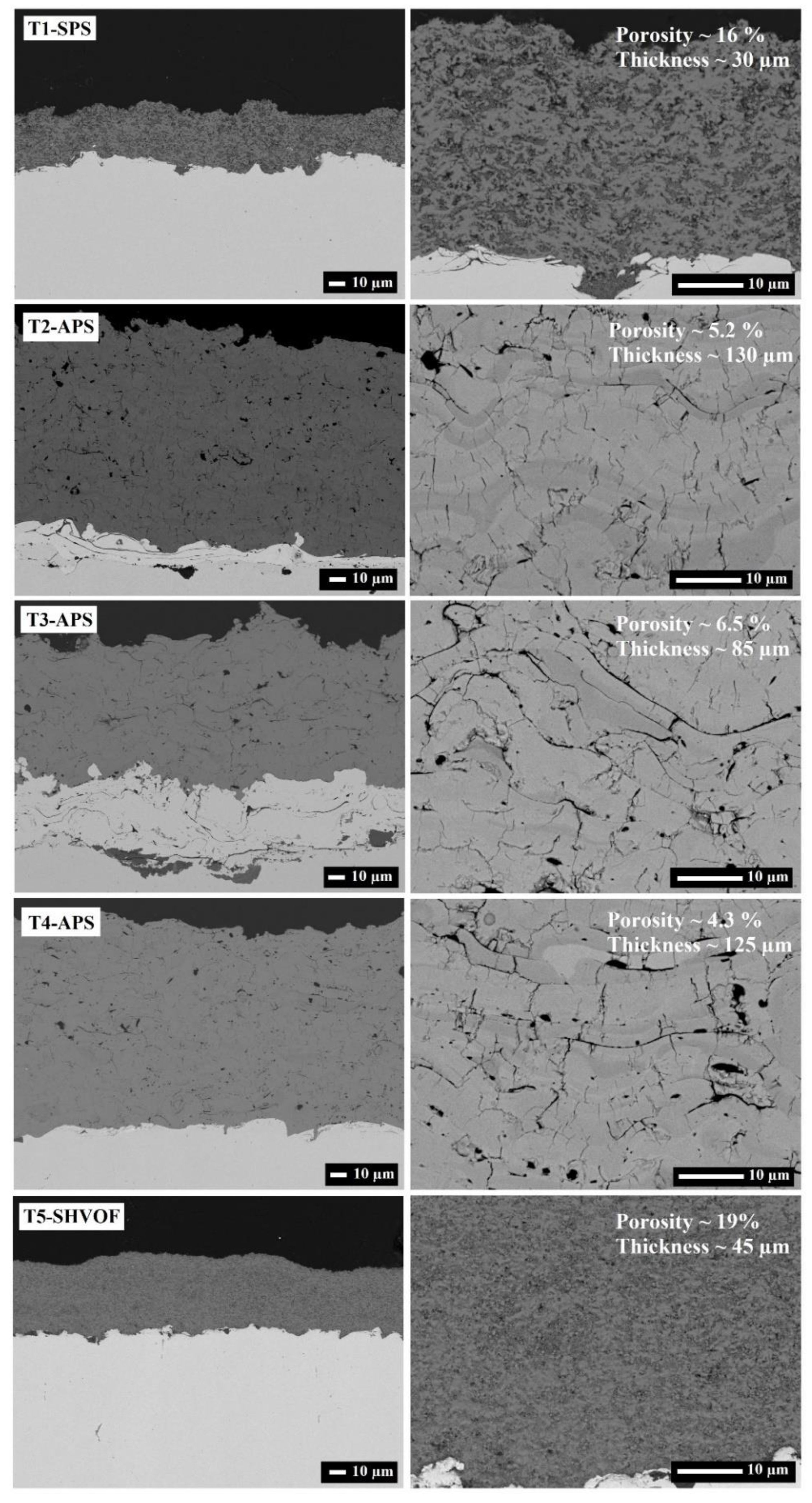 Catalysts 13 01141 g003 Catalysts 13 01141 g003