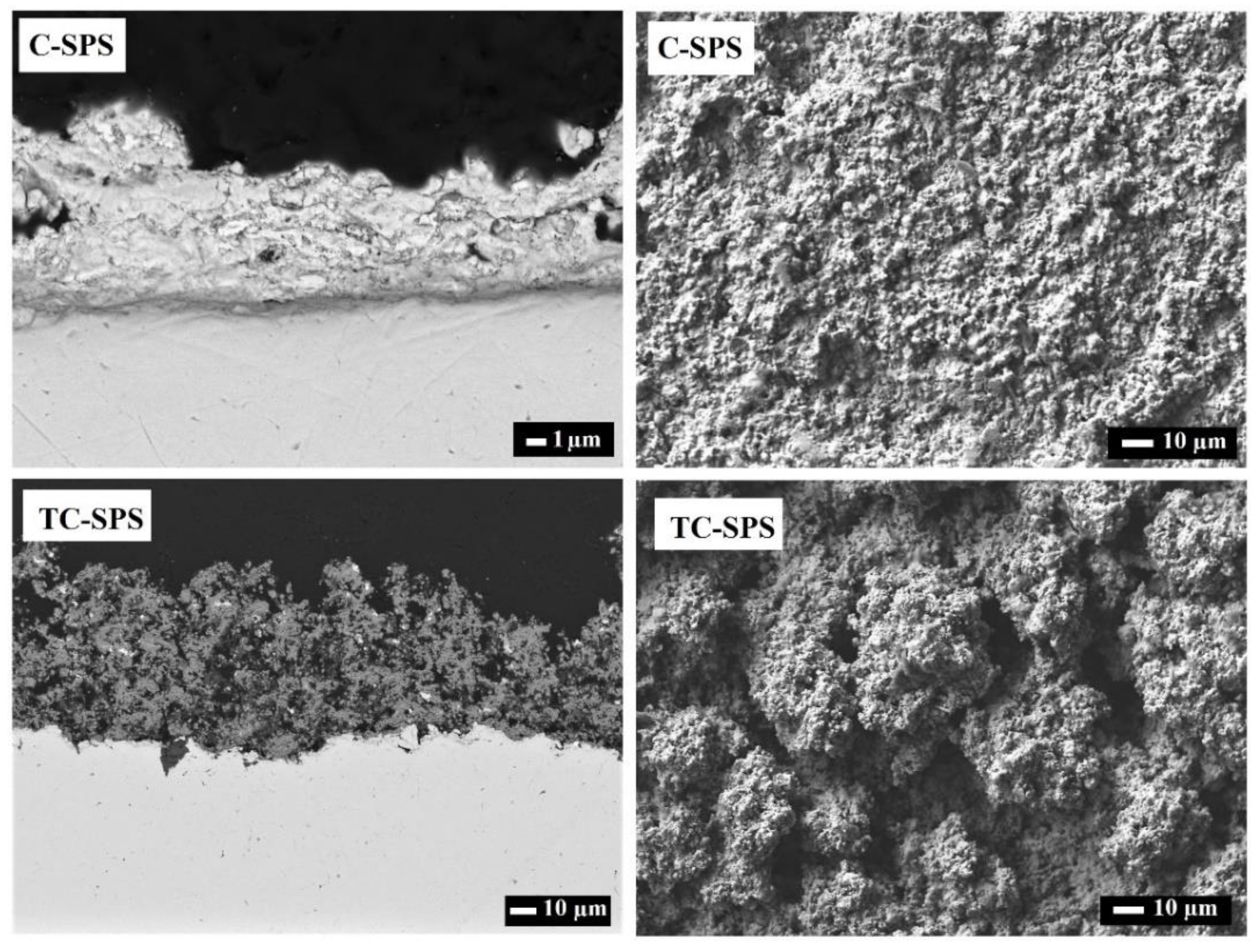 Catalysts 13 01141 g006 Catalysts 13 01141 g006