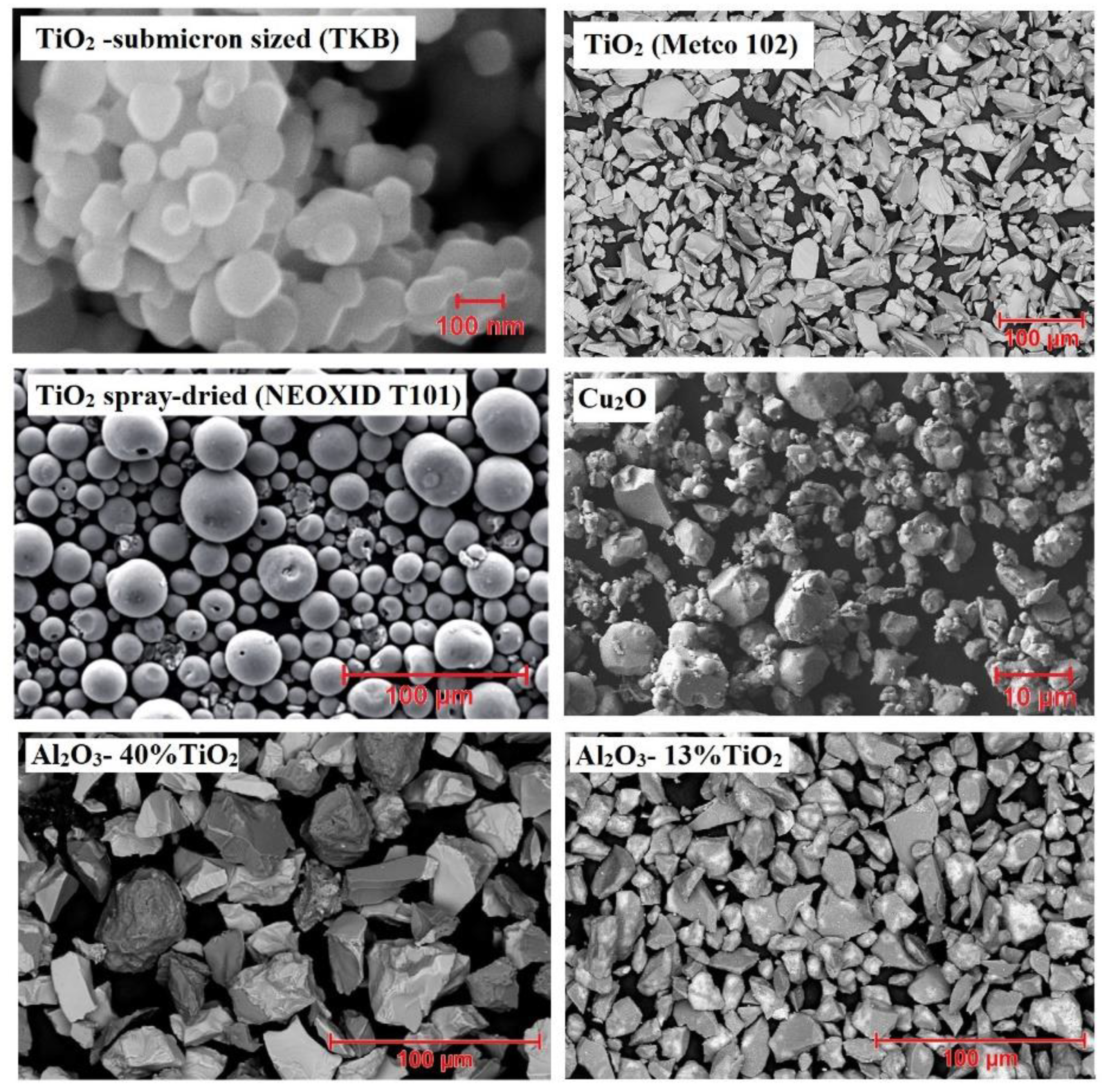 Catalysts 13 01141 g013 Catalysts 13 01141 g013