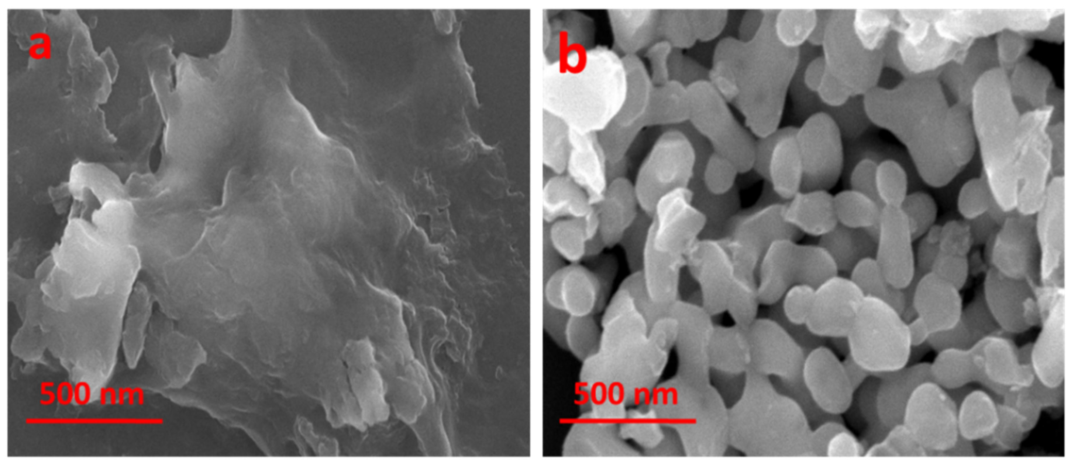 Catalysts 13 01143 g005 Catalysts 13 01143 g005