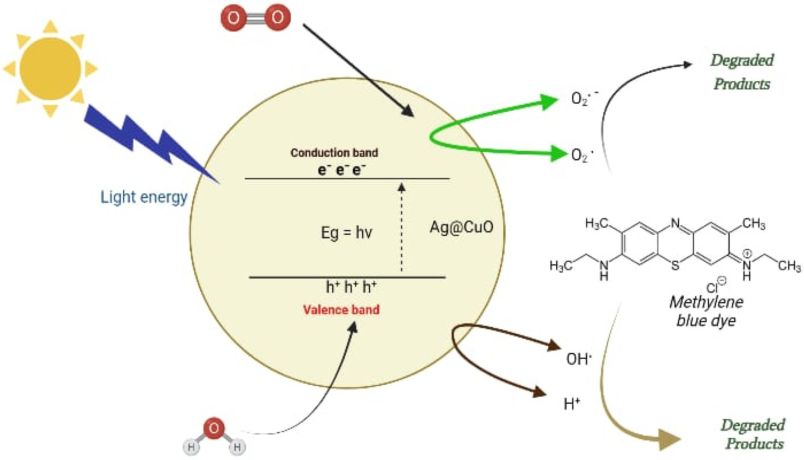 Catalysts 13 01143 g006 Catalysts 13 01143 g006