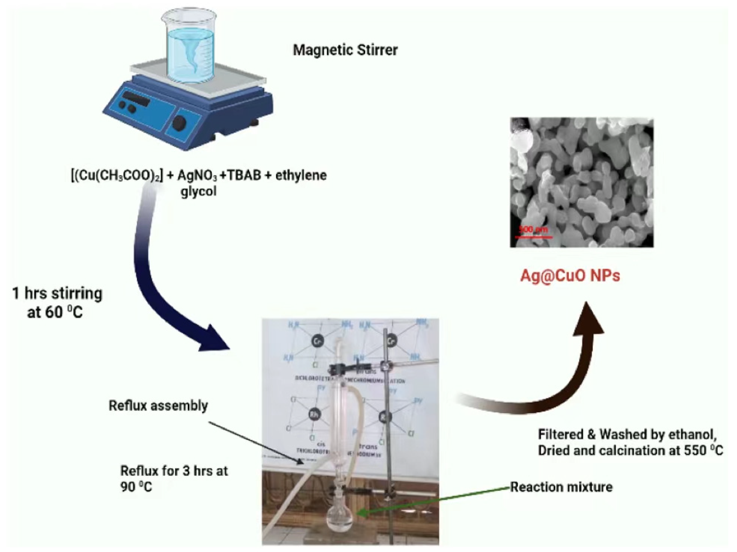 Catalysts 13 01143 g009 Catalysts 13 01143 g009