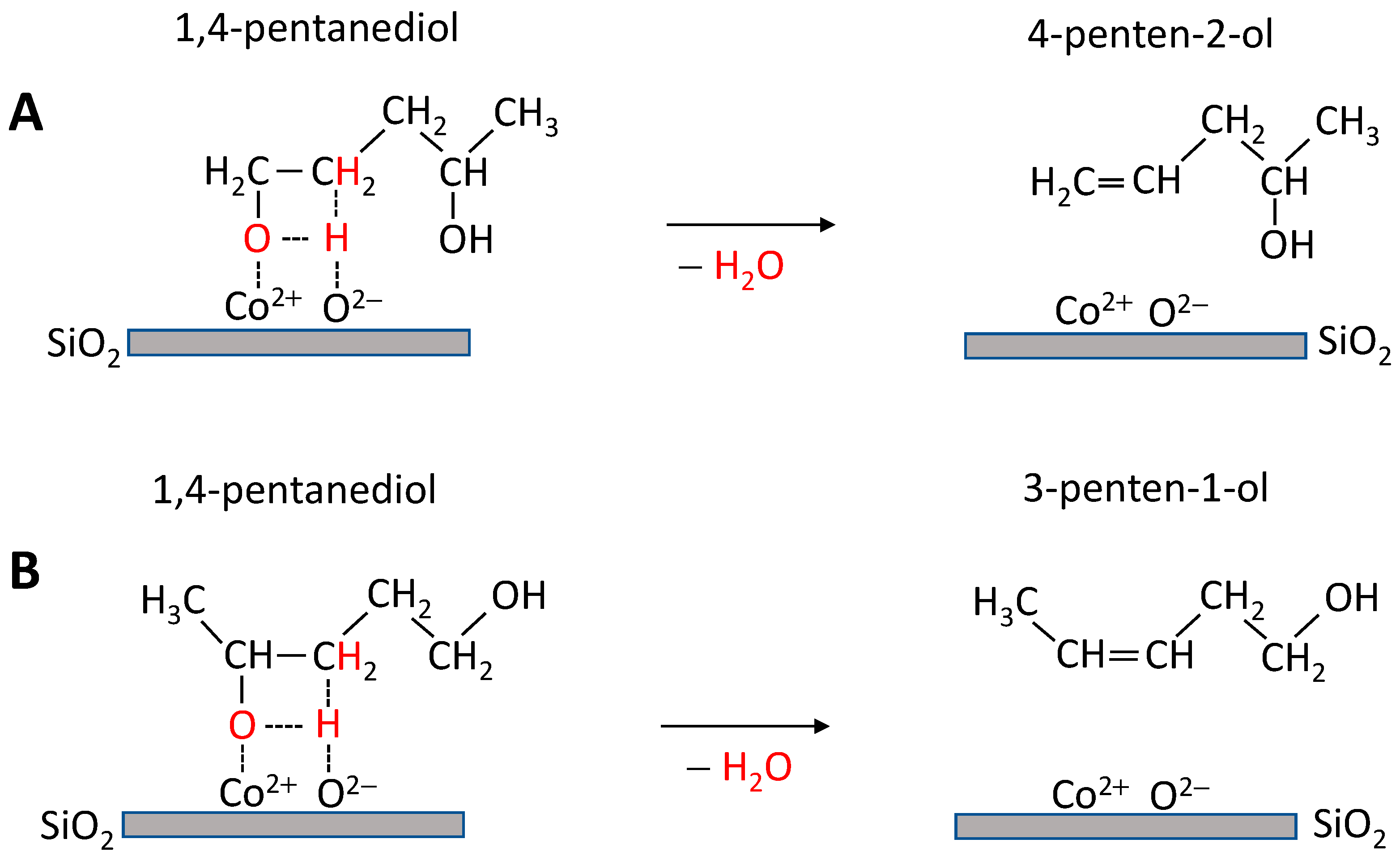 Catalysts 13 01144 sch002 Catalysts 13 01144 sch002