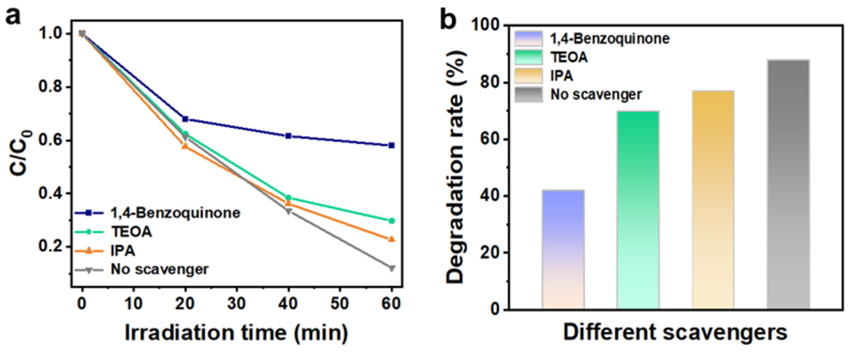 Catalysts 13 01147 g007 550