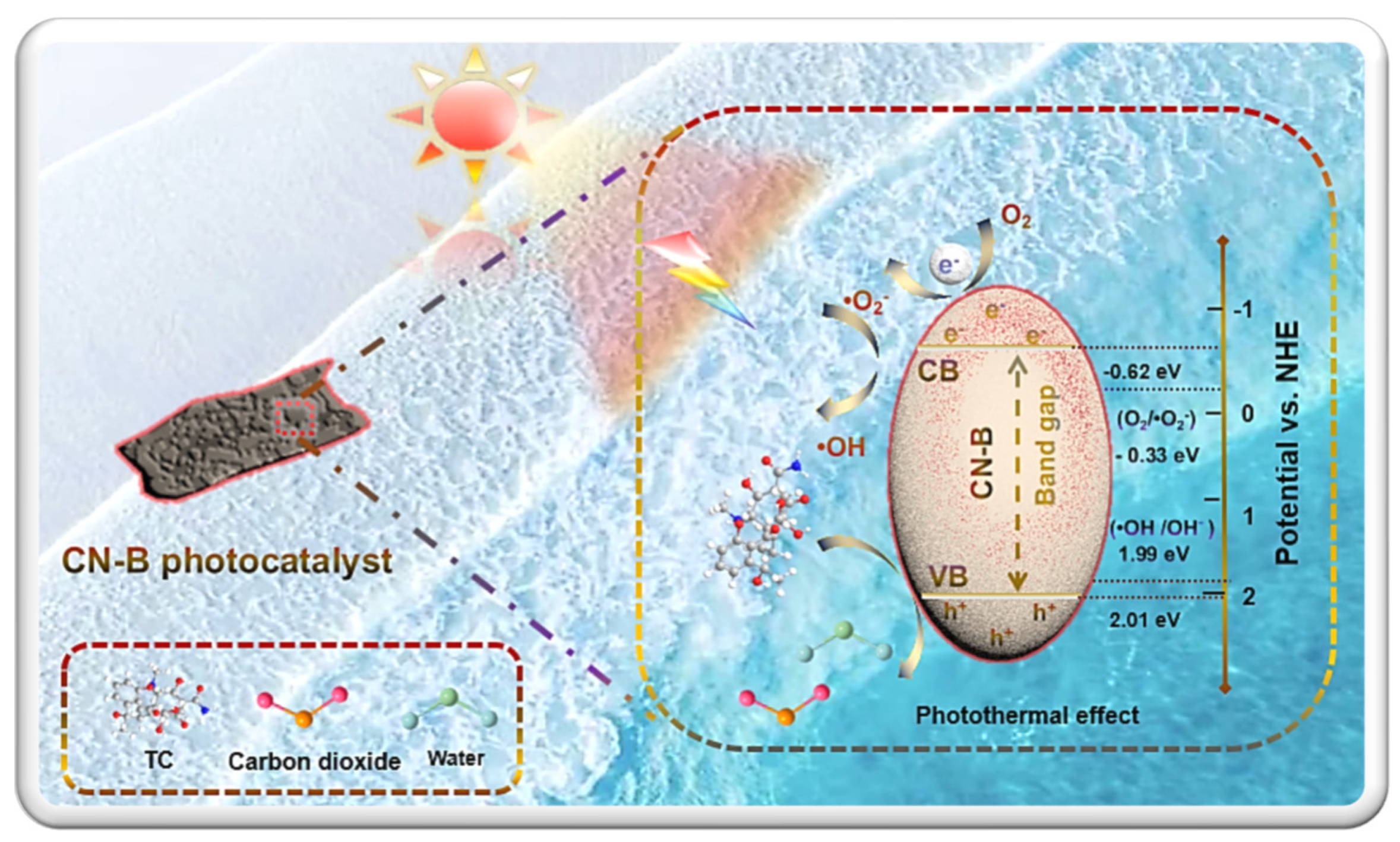 Catalysts 13 01147 g008 550