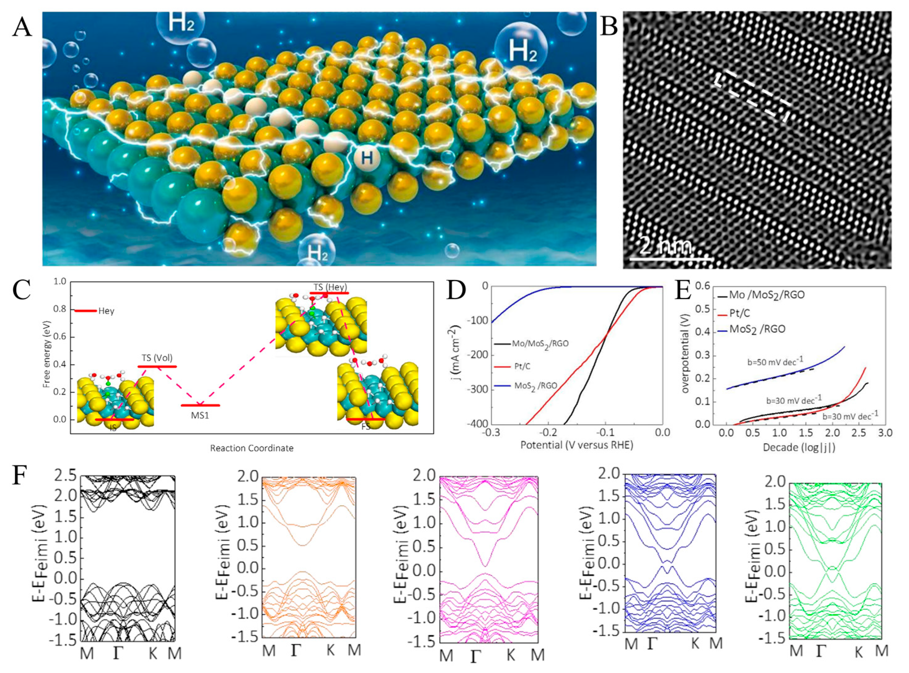 Catalysts 13 01148 g002 Catalysts 13 01148 g002