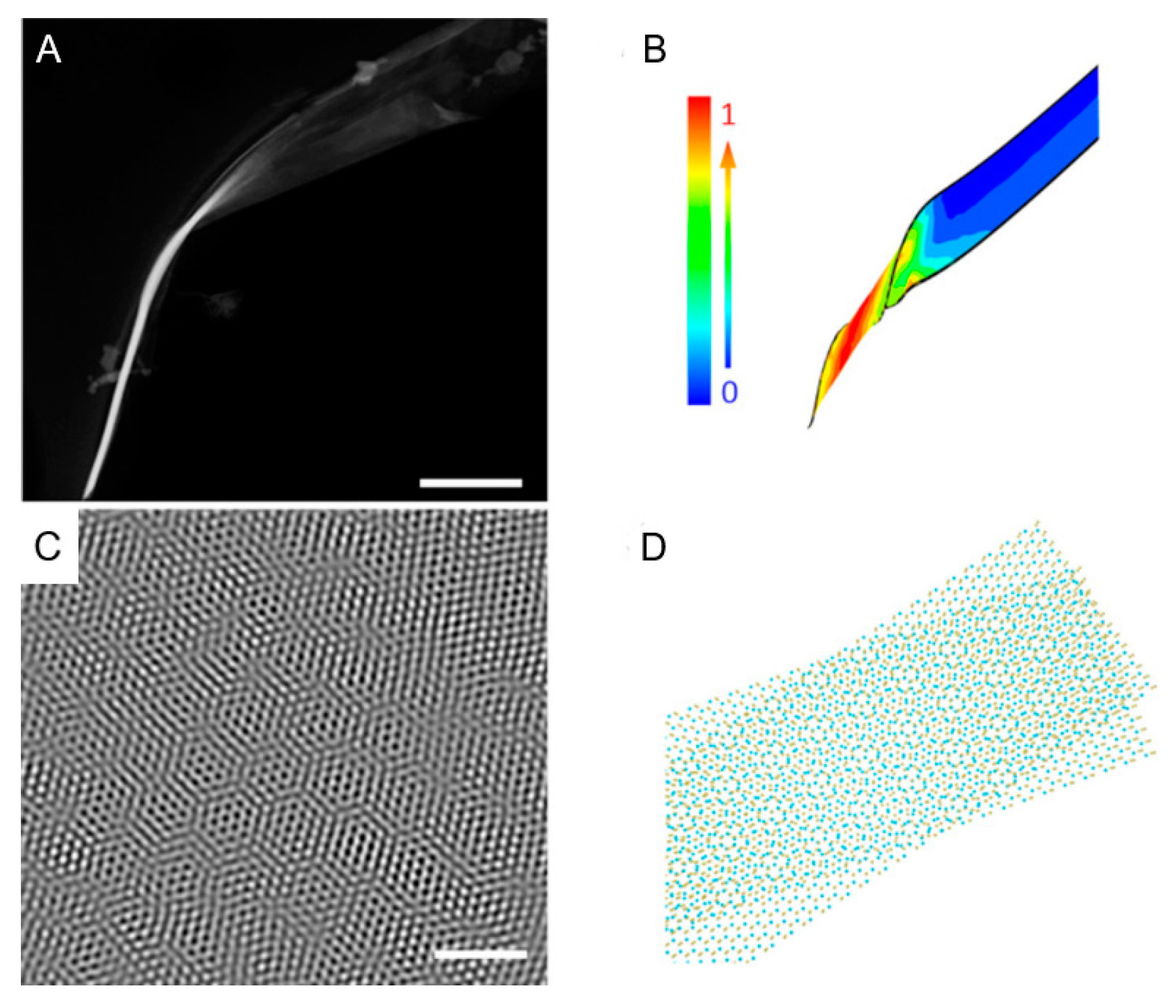 Catalysts 13 01148 g004 Catalysts 13 01148 g004