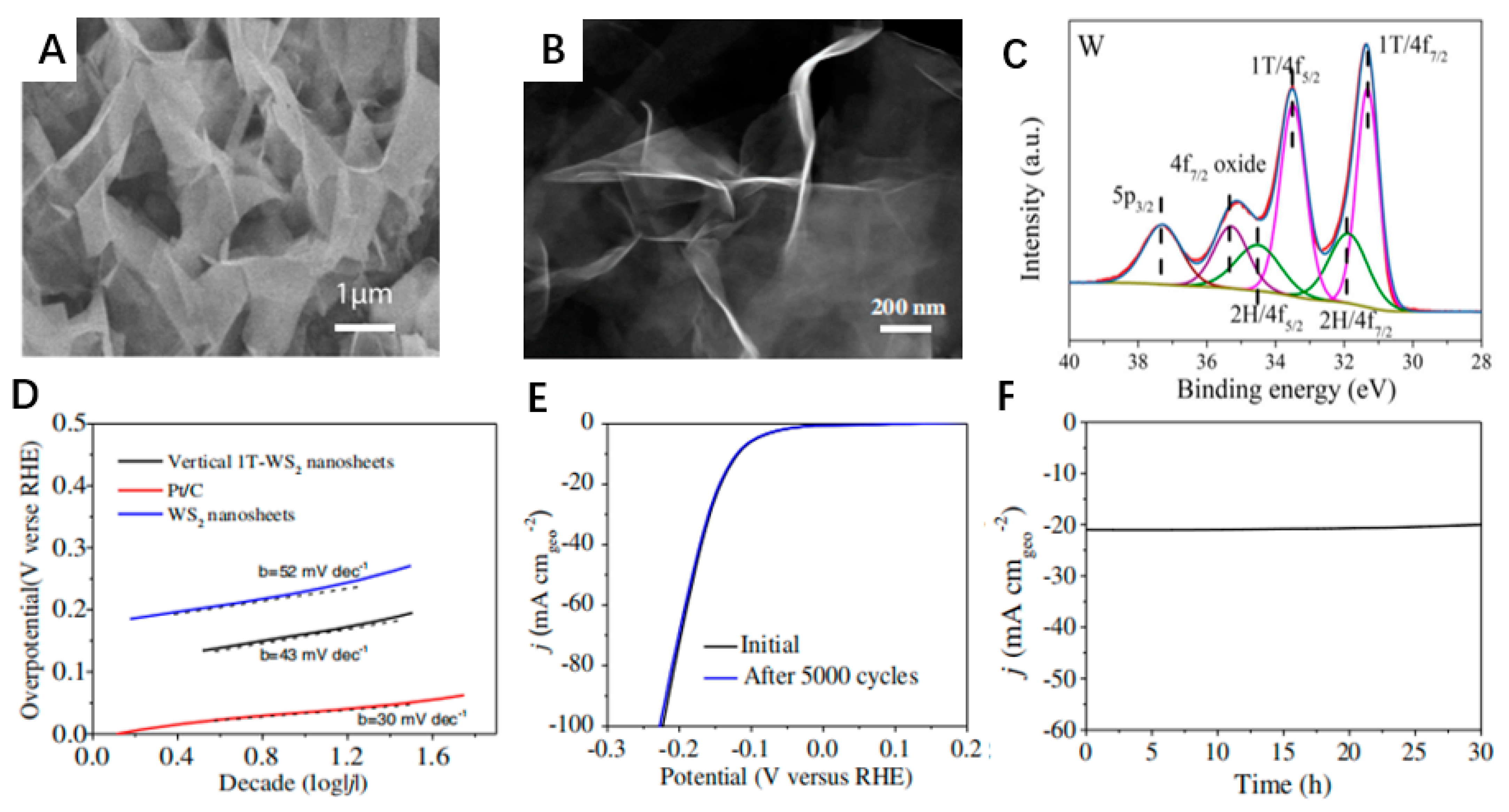 Catalysts 13 01148 g007 Catalysts 13 01148 g007