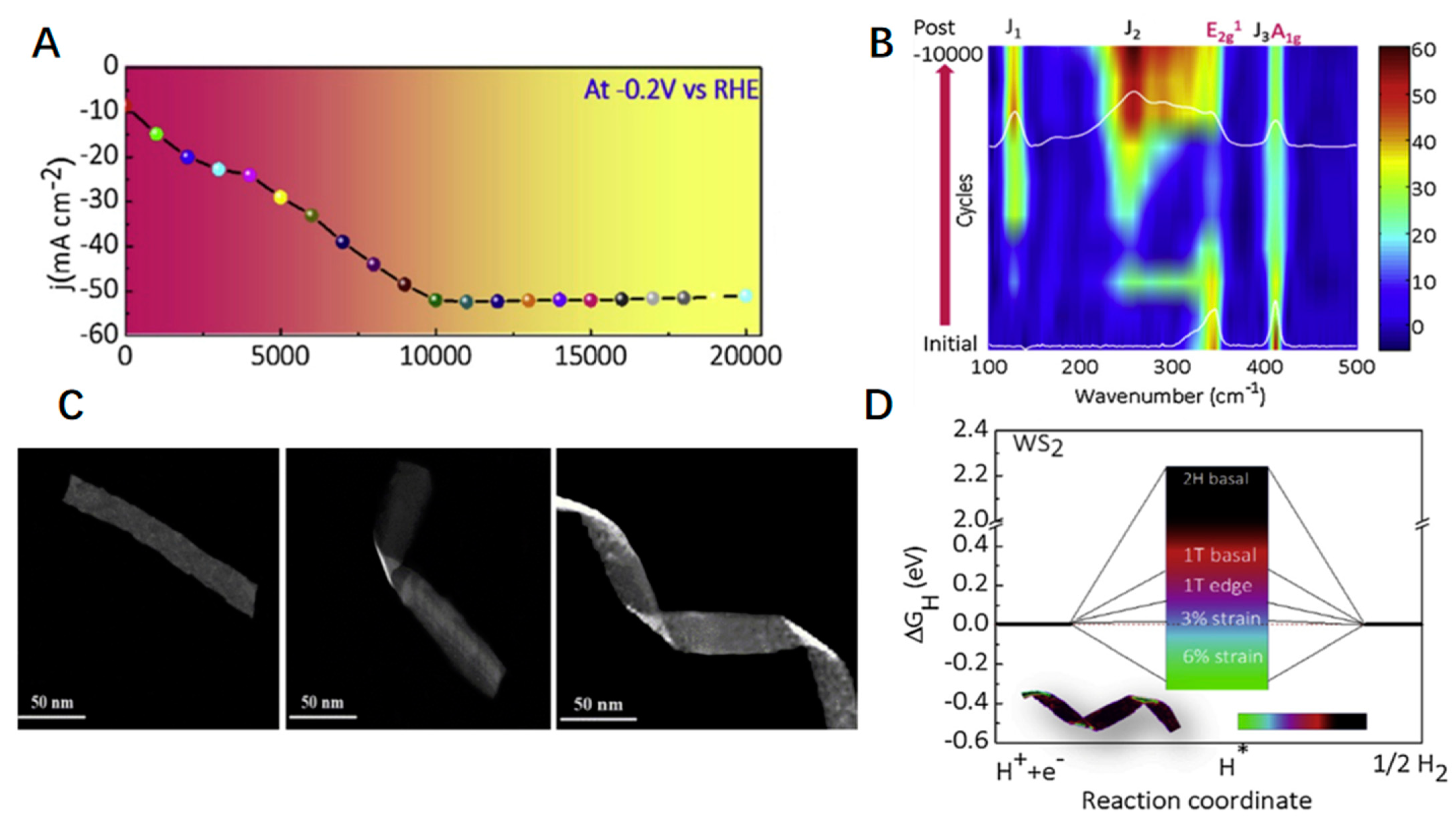 Catalysts 13 01148 g008 Catalysts 13 01148 g008