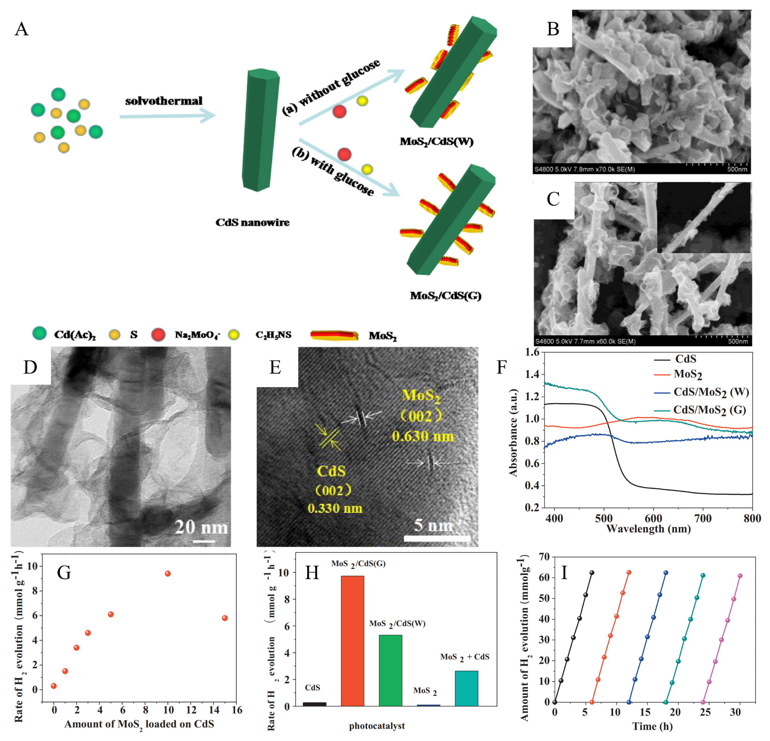 Catalysts 13 01148 g010 Catalysts 13 01148 g010