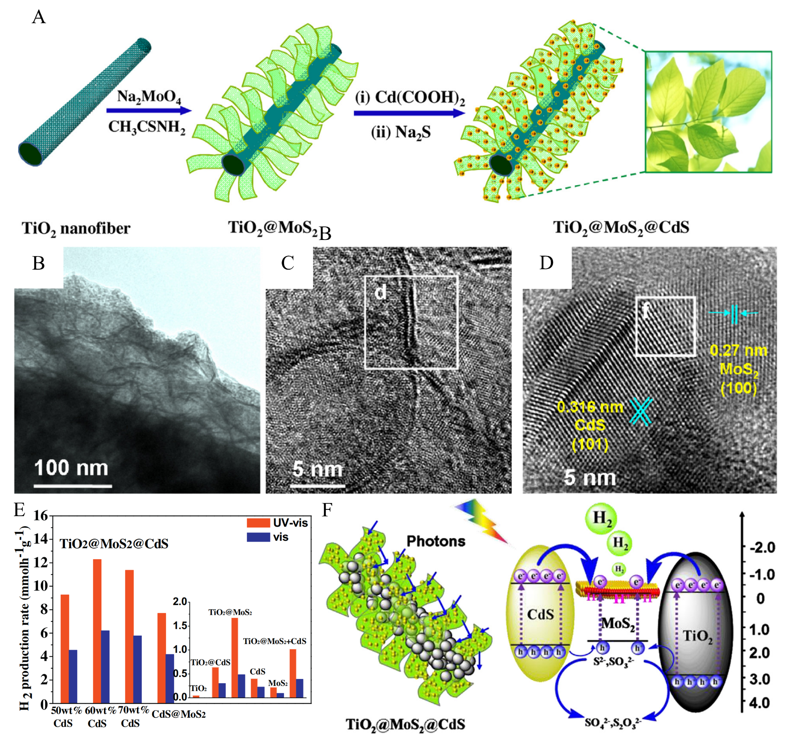 Catalysts 13 01148 g011 Catalysts 13 01148 g011